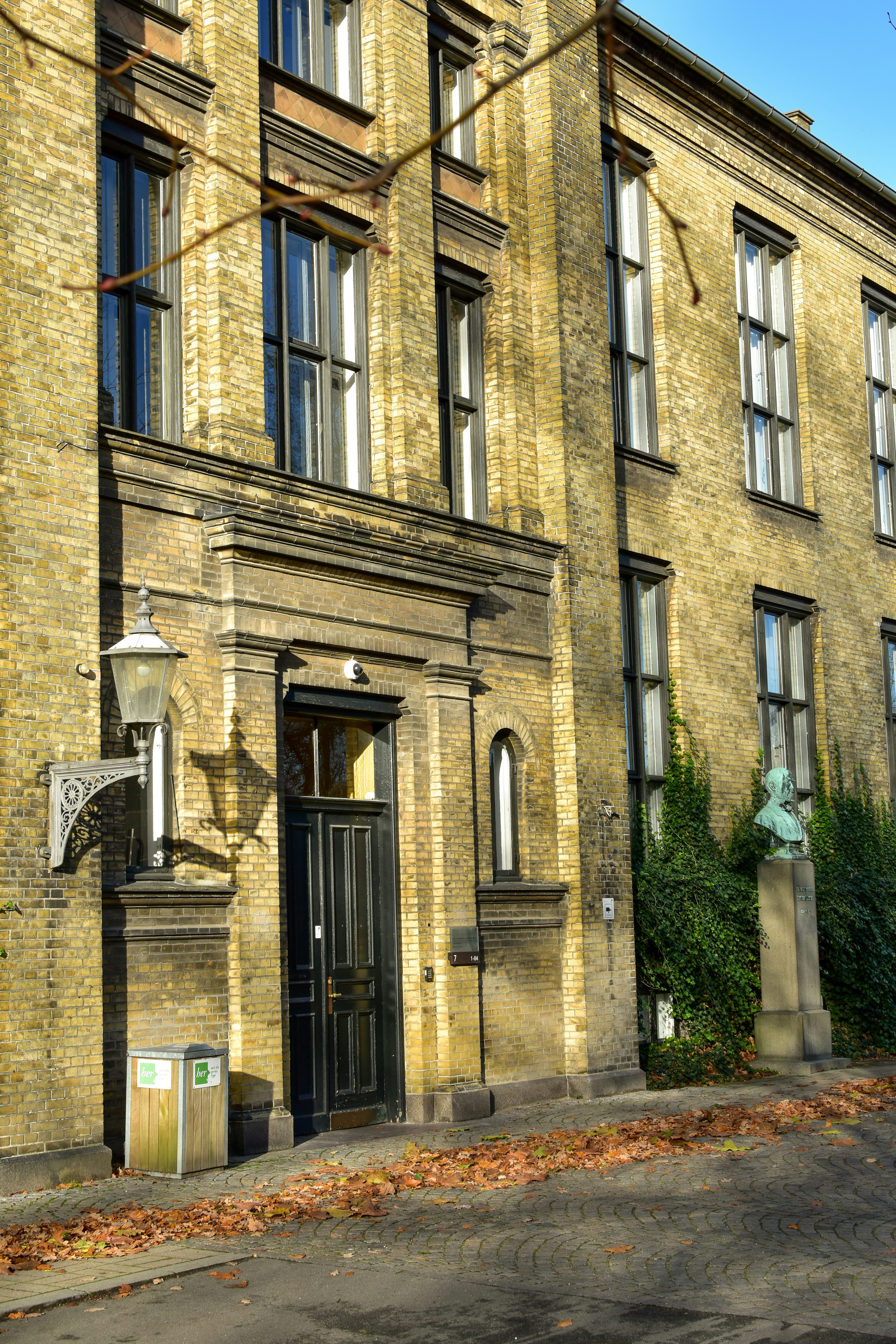 Photo by mirceadrian