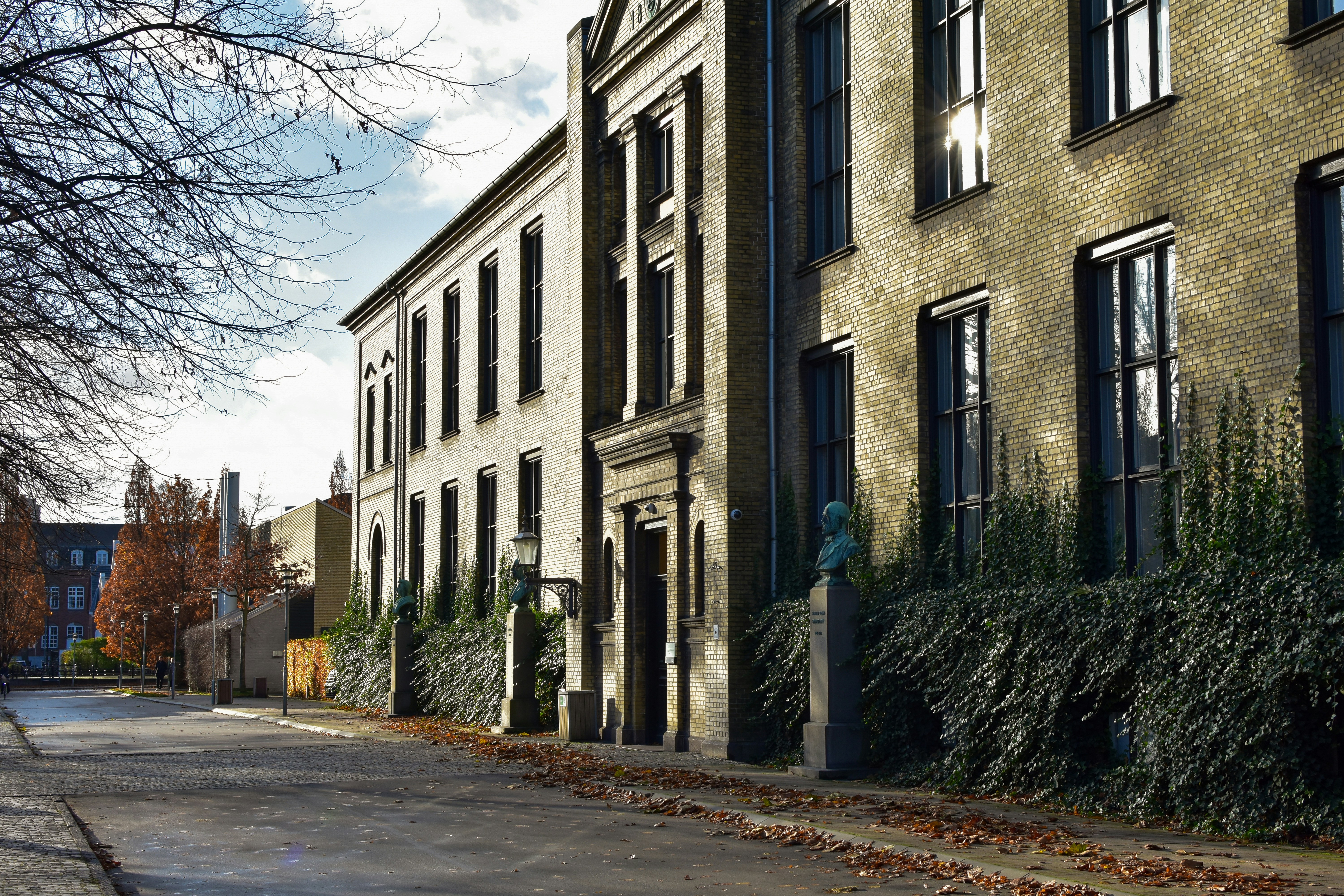 Photo by mirceadrian