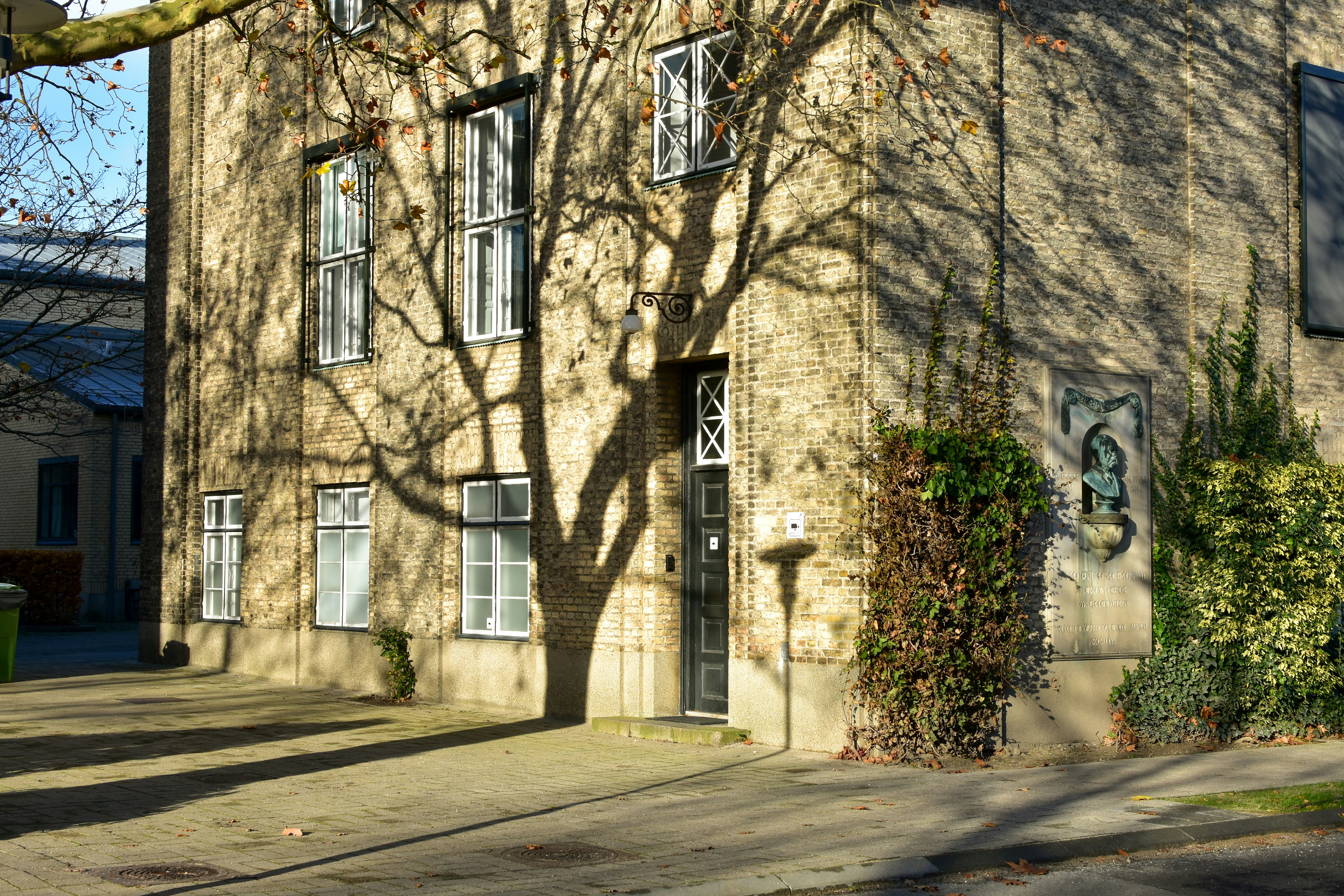 Photo by mirceadrian