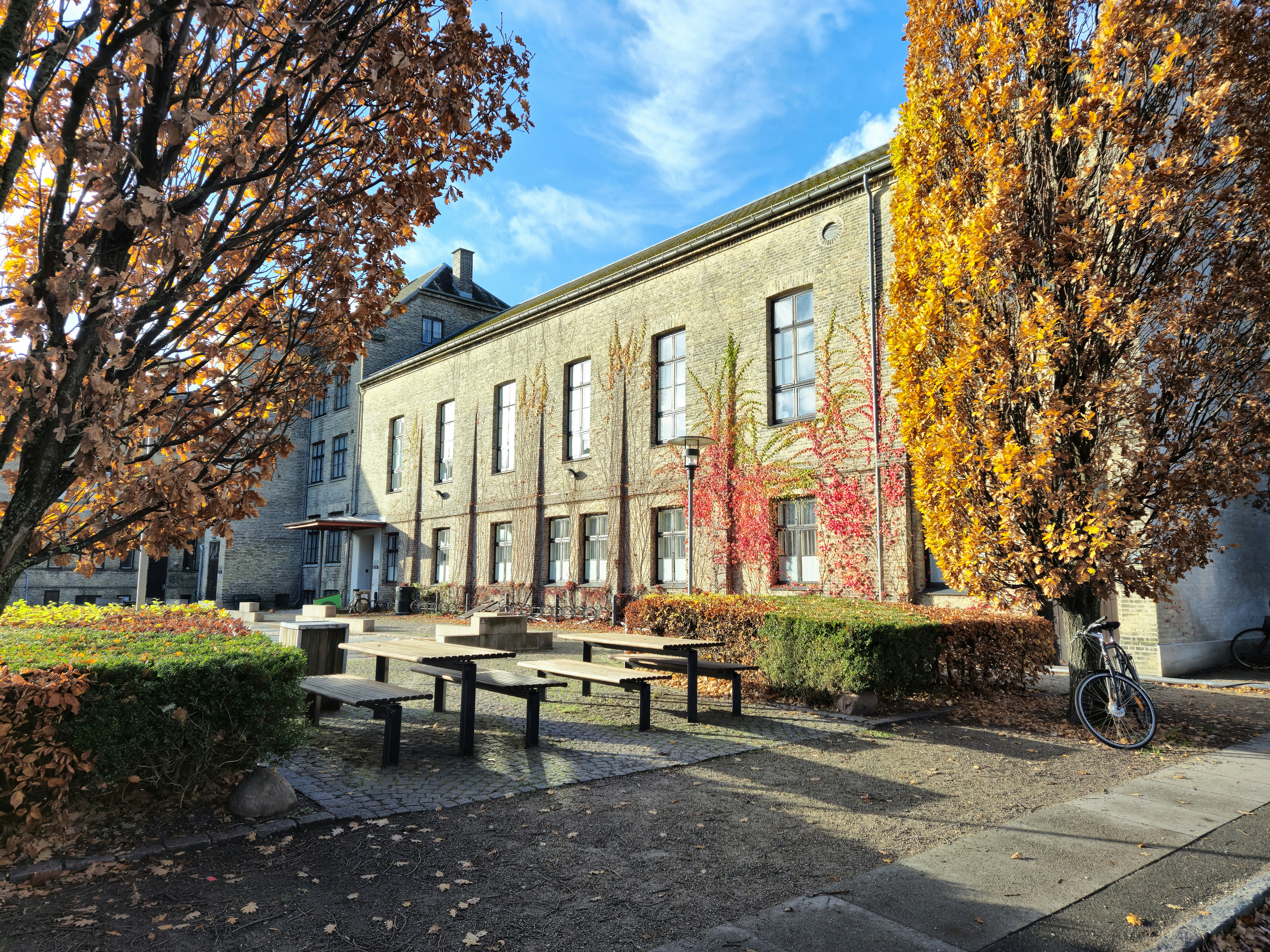 Photo by mirceadrian