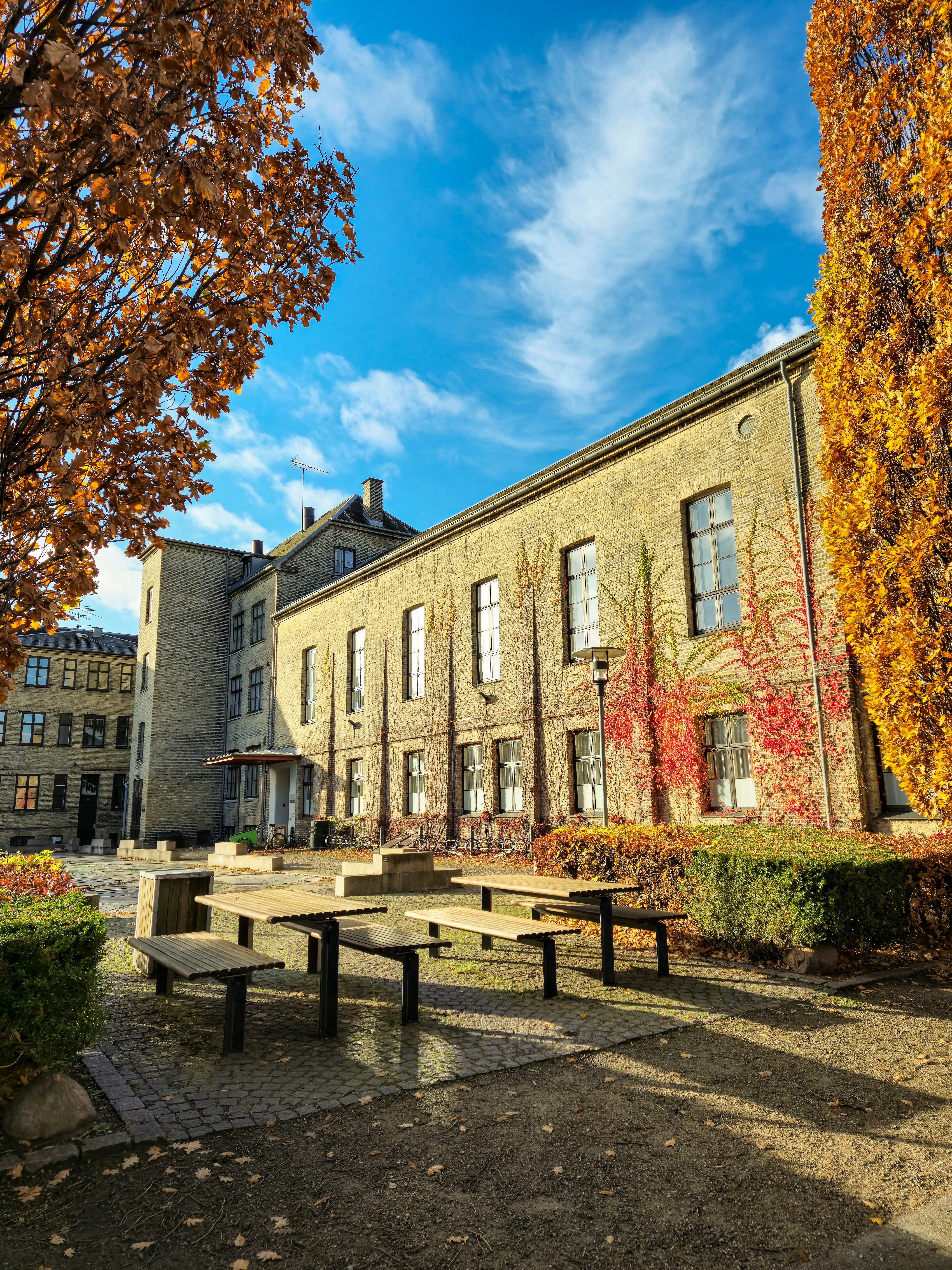 Photo by mirceadrian