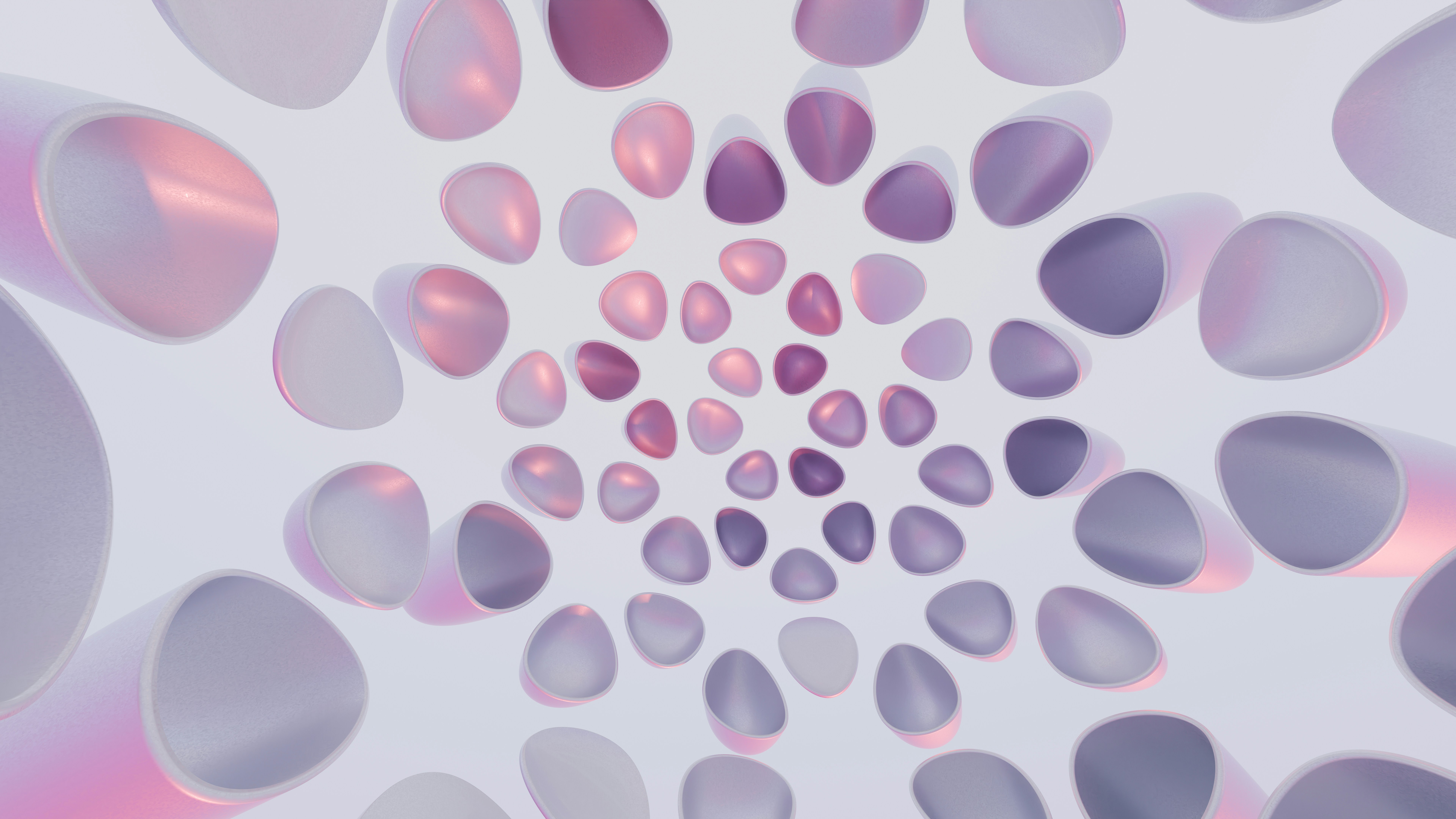 일반 기부금과 고향사랑 기부금: 세액 공제 비율의 차이점