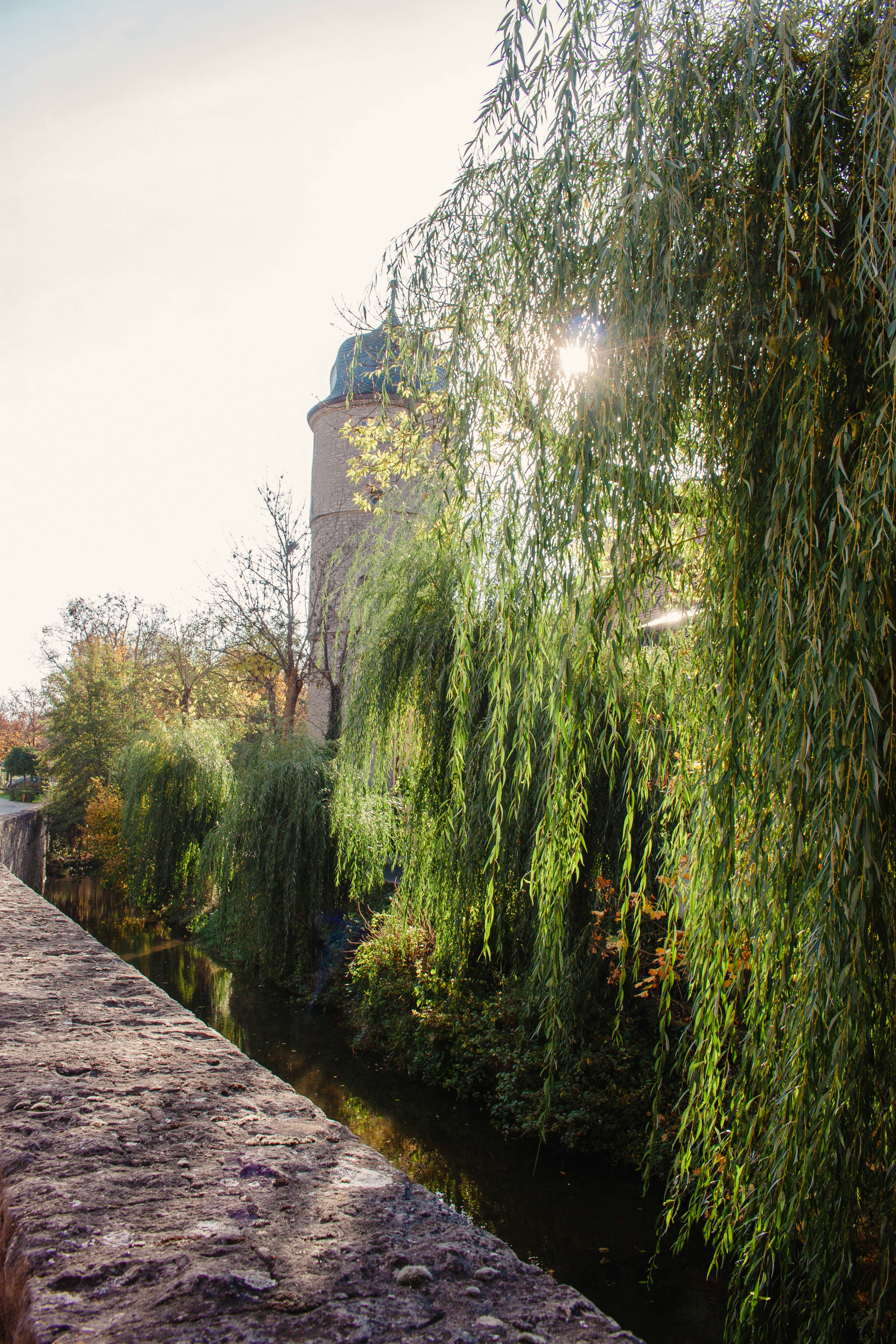 Photo by kamillaisalieva