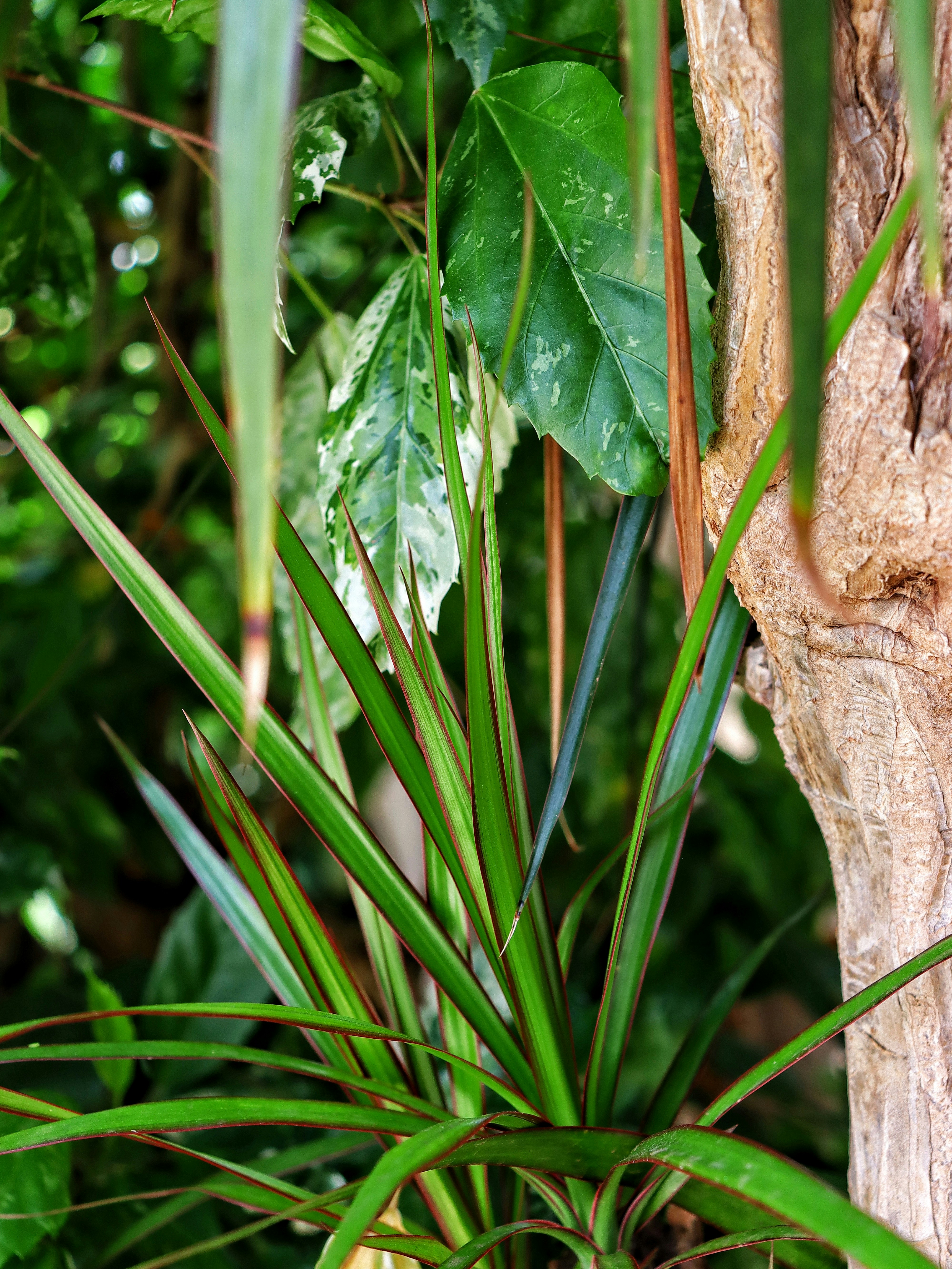 Photo by caio_delarolle