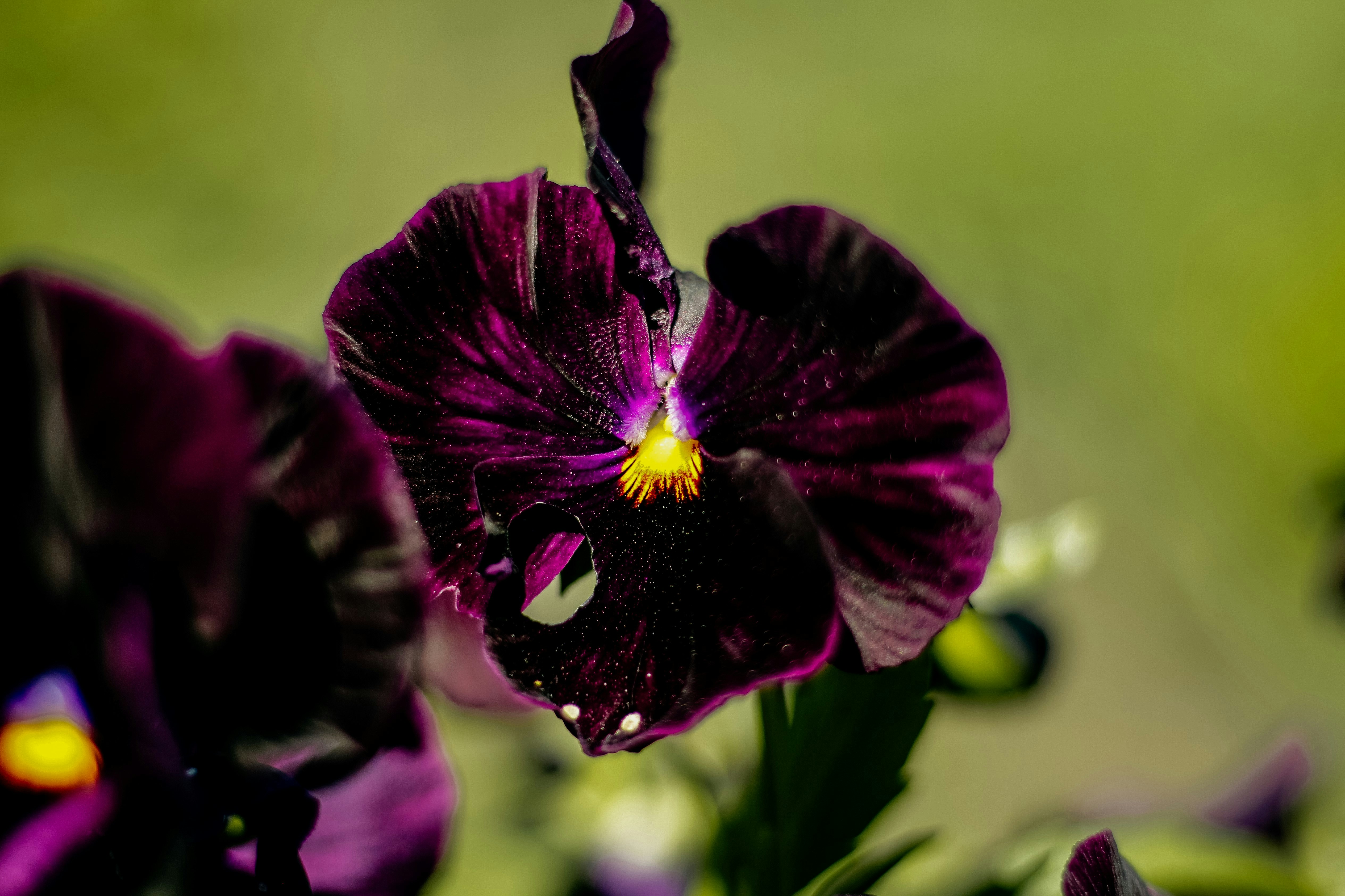 Photo by annakasper26