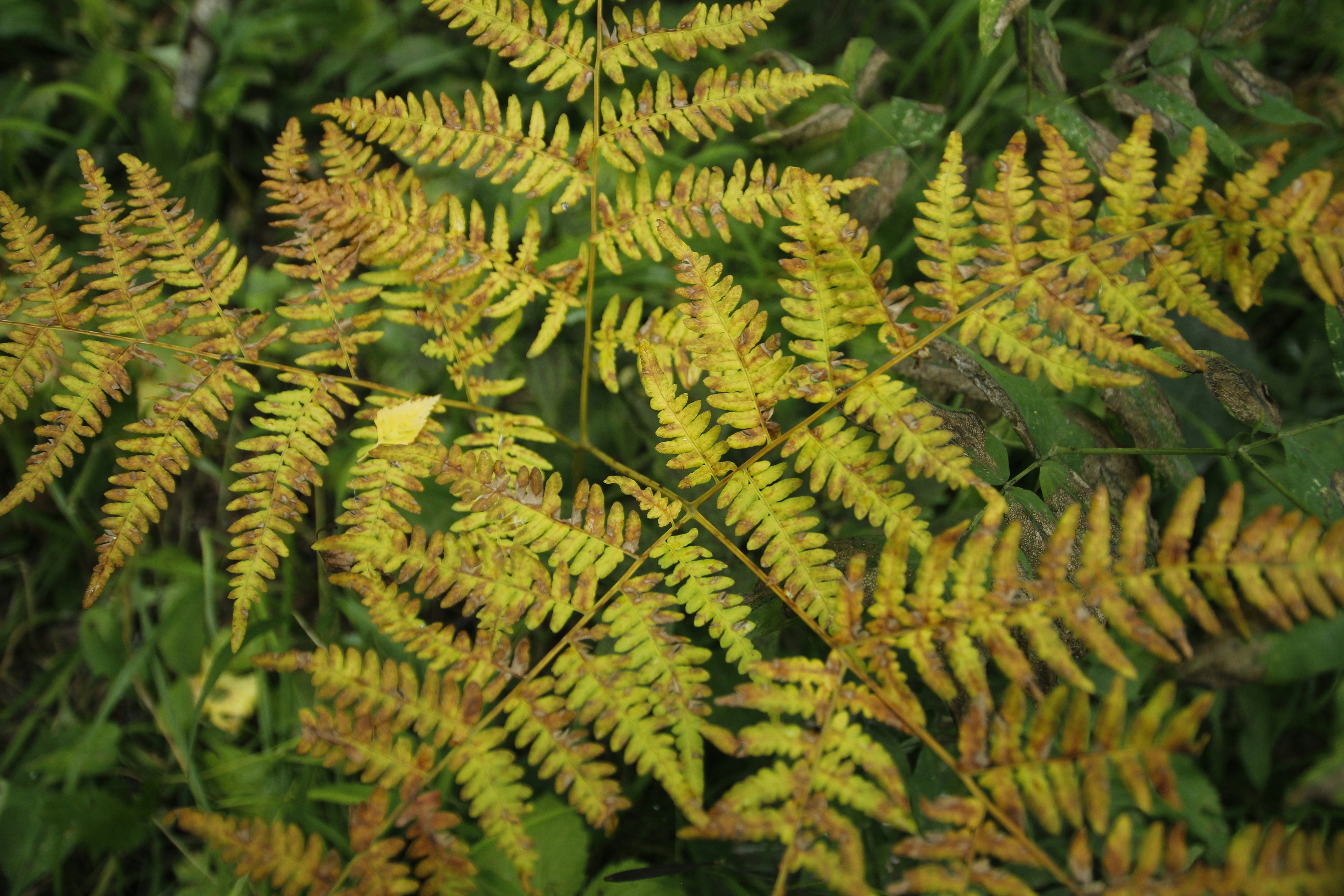 Photo by annakasper26