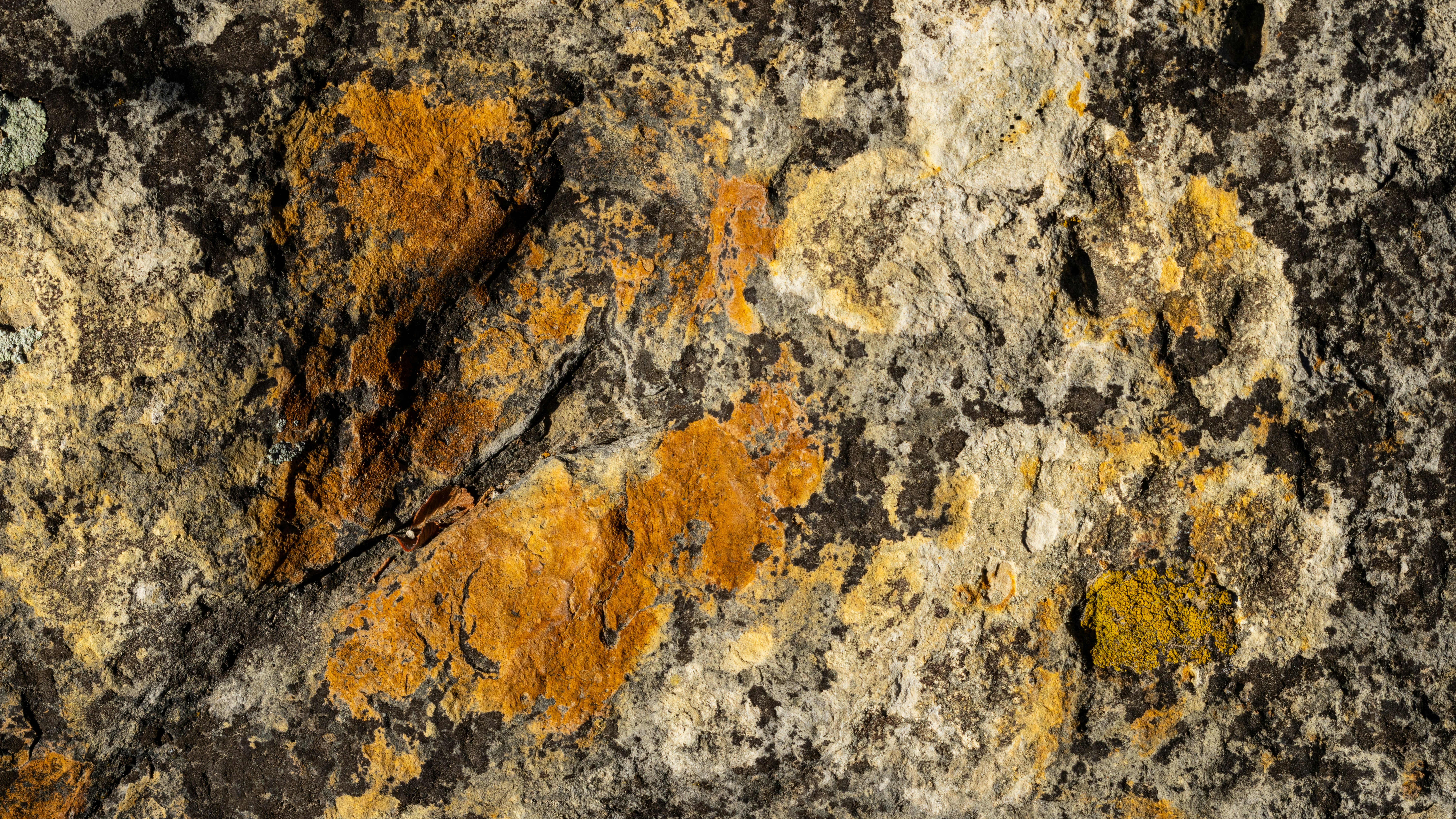 Photo by brandonstoll