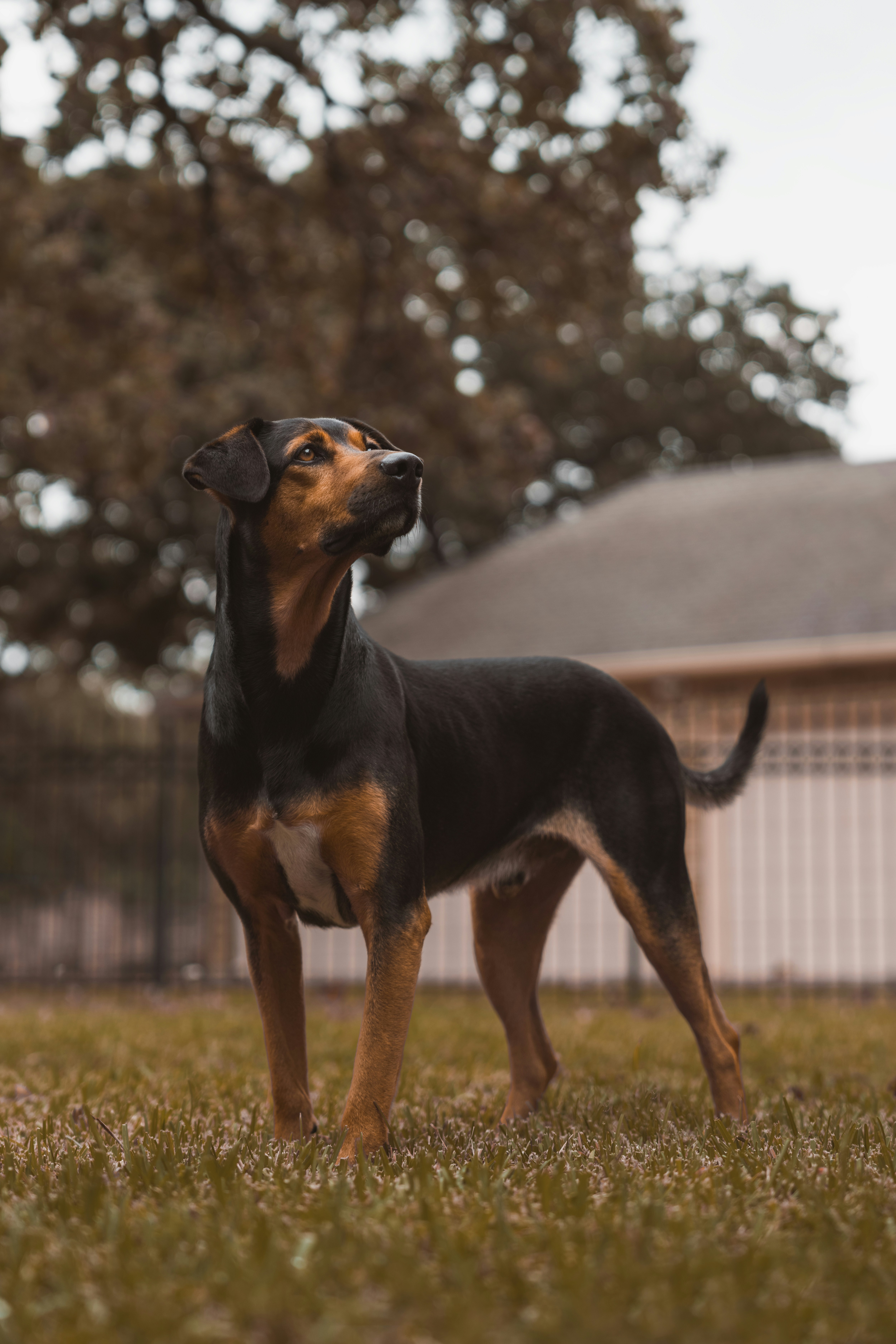 Photo by tonyluginsland