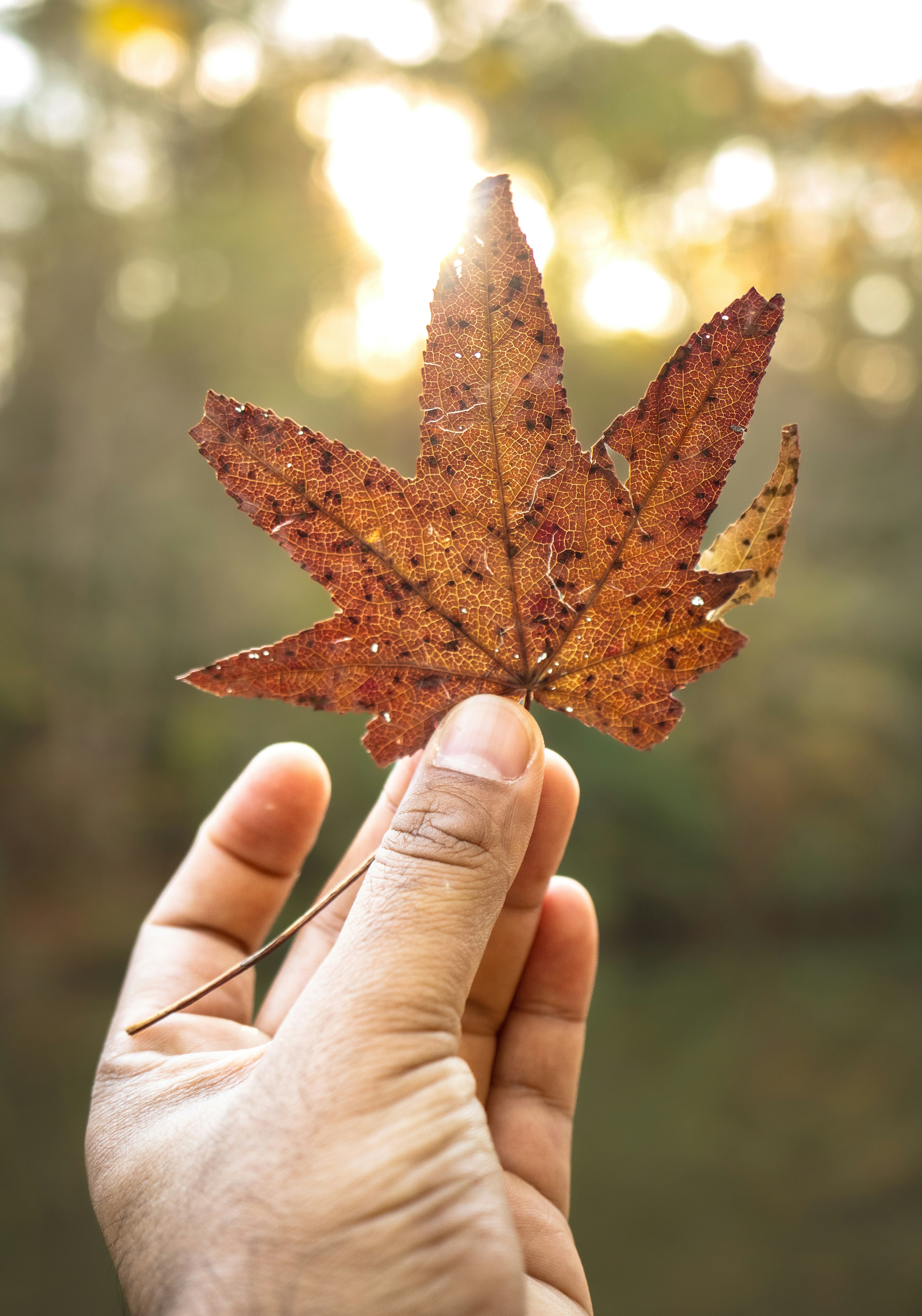 Photo by tomatopictures1