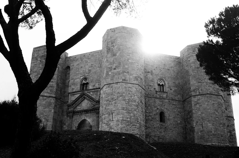 Castel del Monte ad Andria, Patrimonio UNESCO