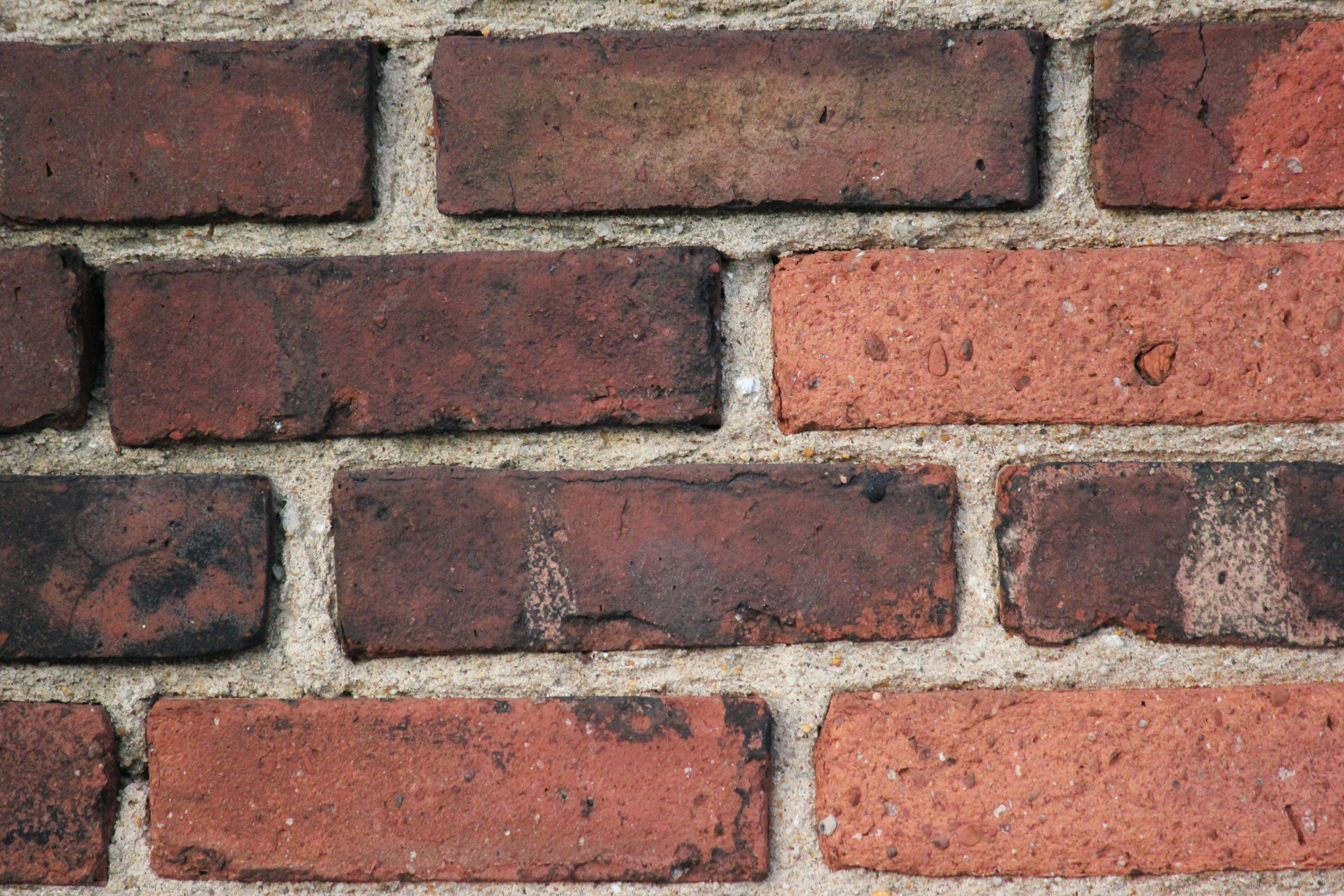 Photo by frolicsomefairy