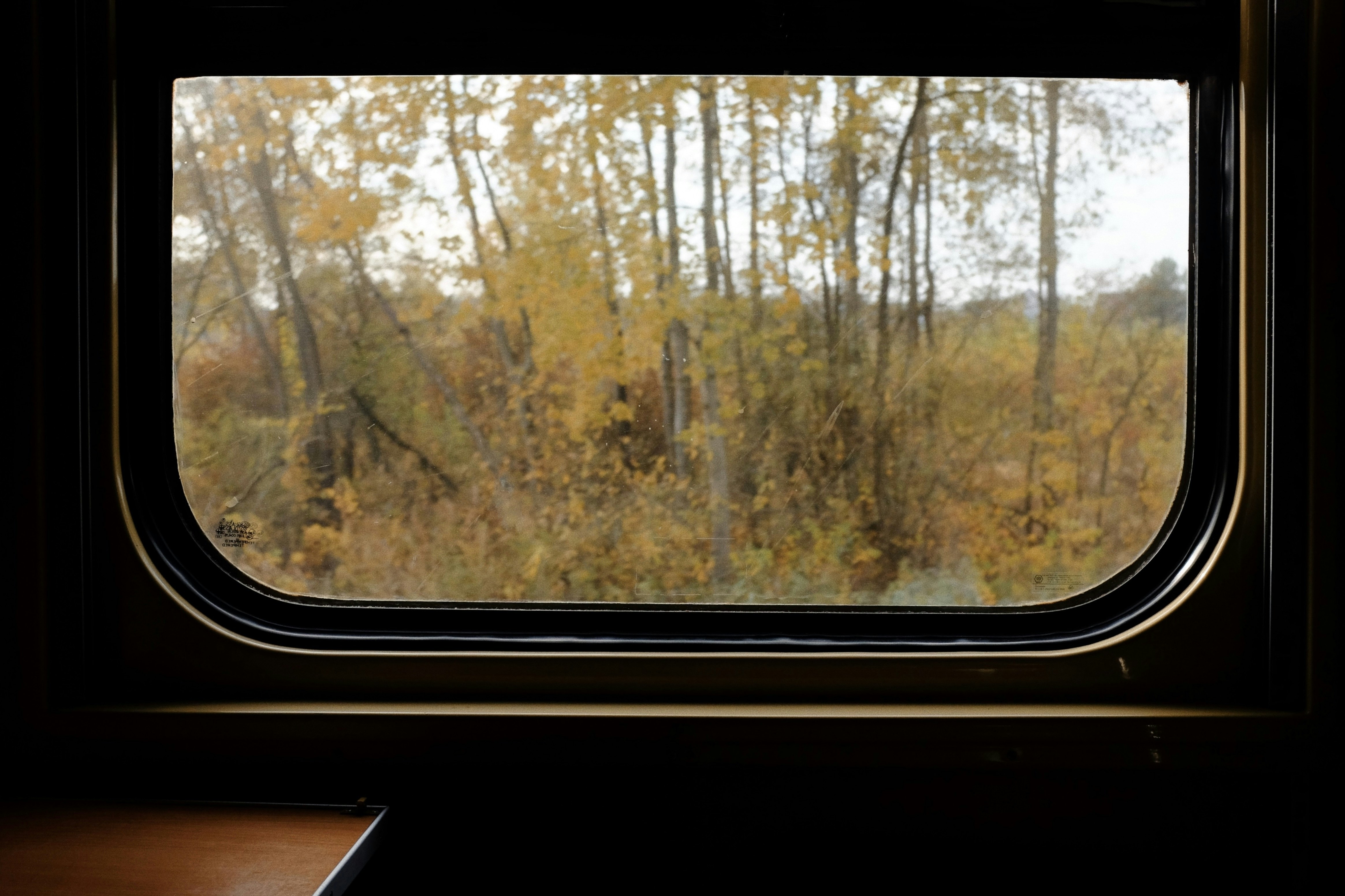 Ein Fenster mit Blick auf einen Wald draußen