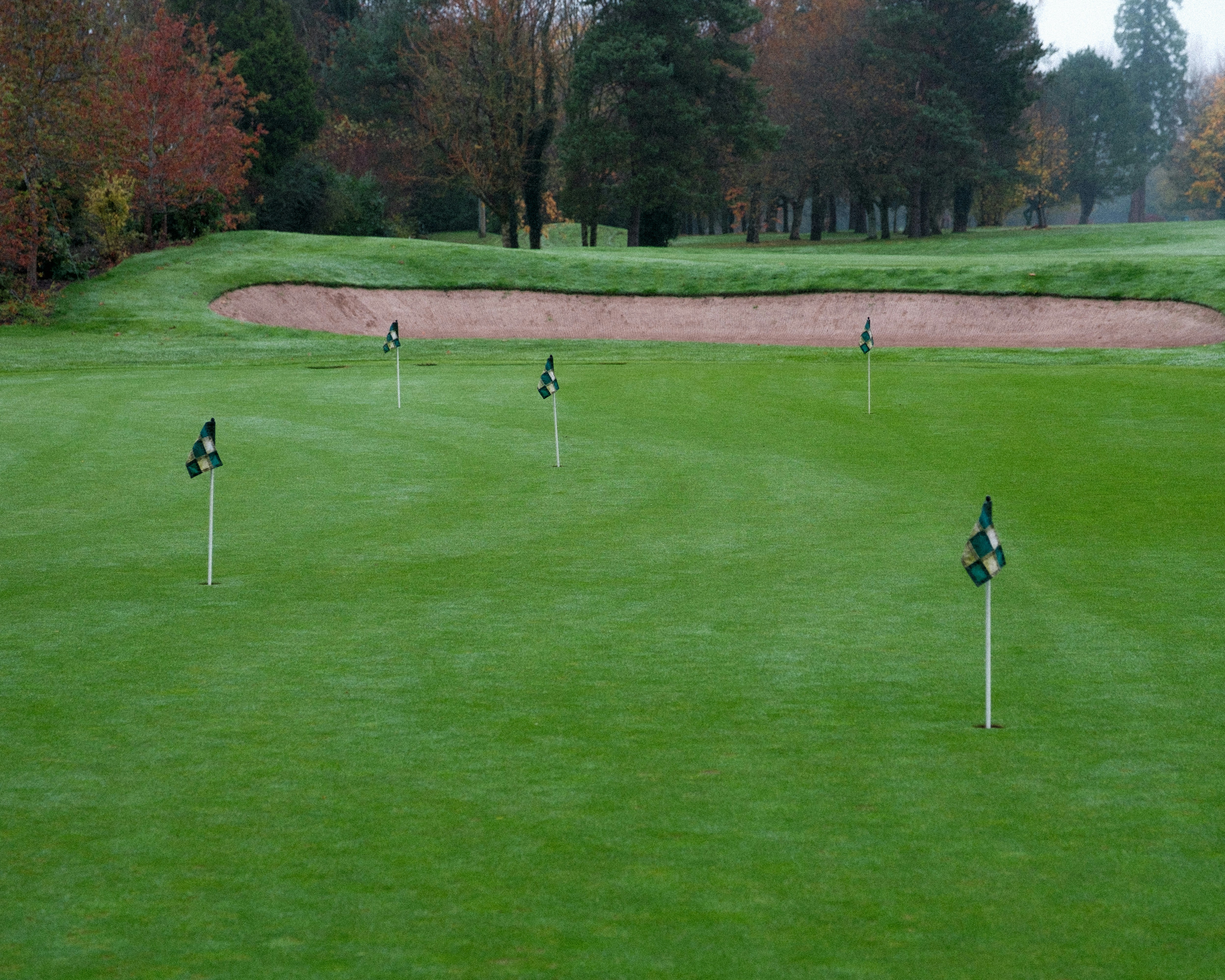 골프 문화·예절Golf