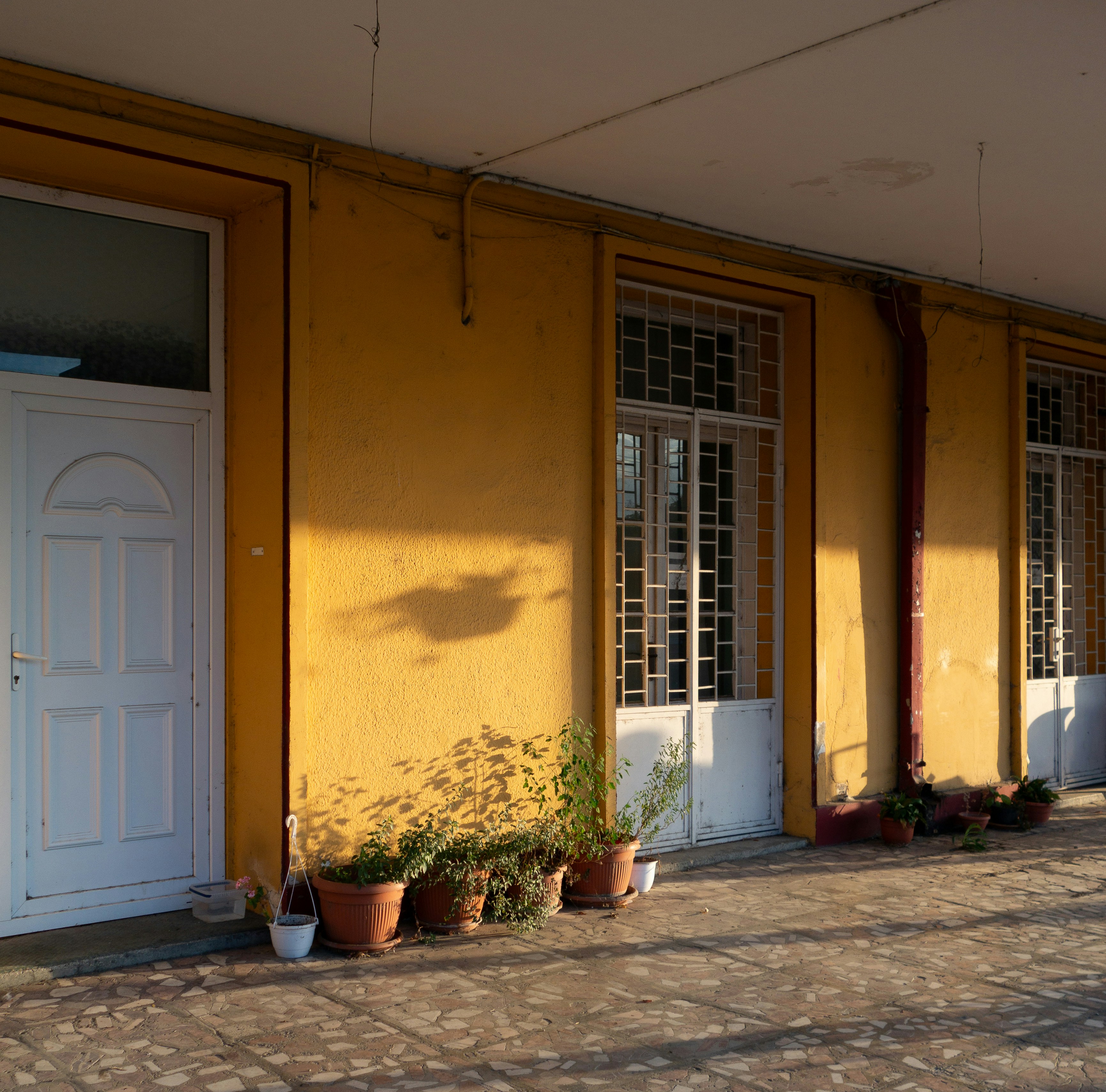 Photo by mirceadrian