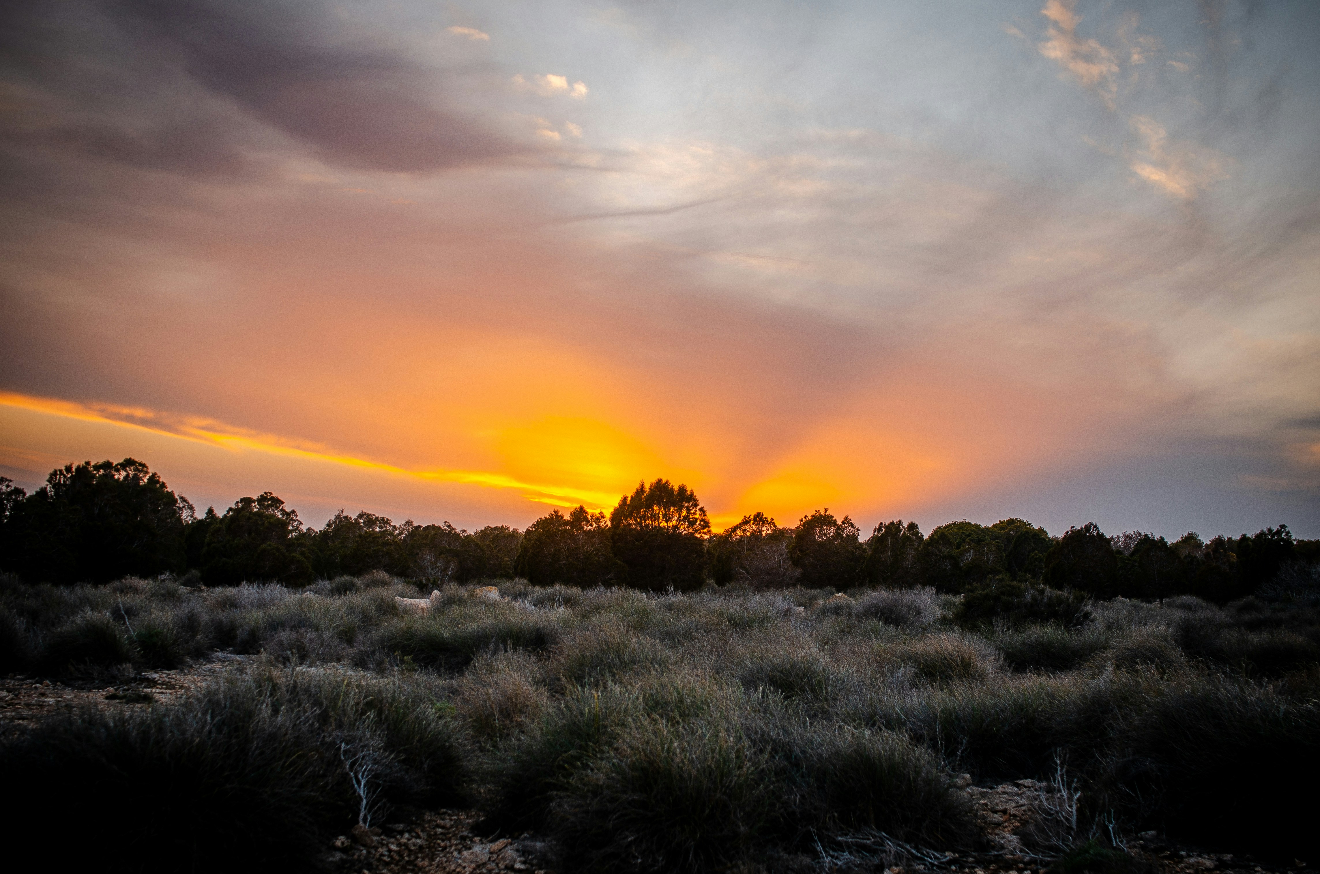 Photo by anastasia_shyrokykh