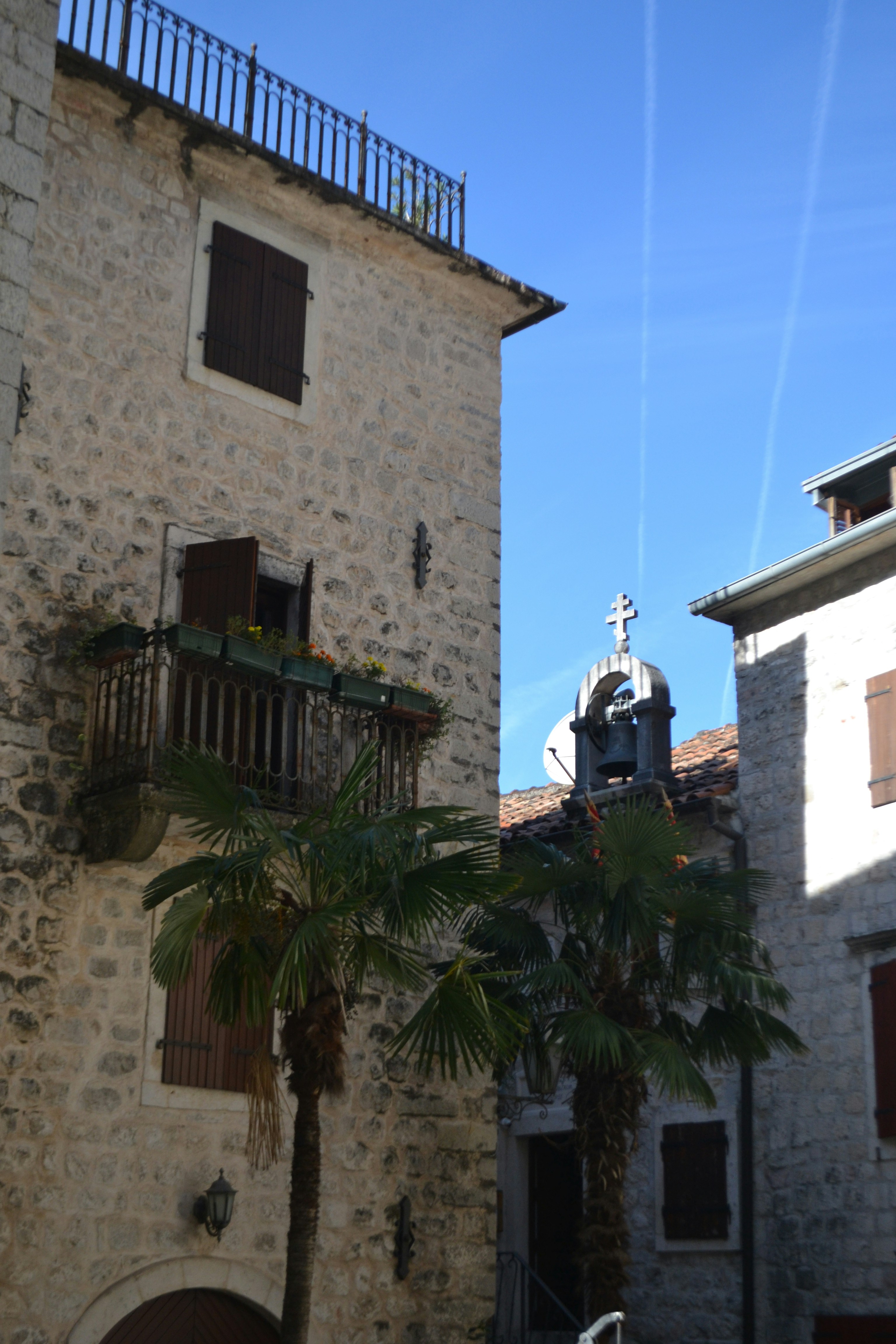 A building with a palm tree in front of it