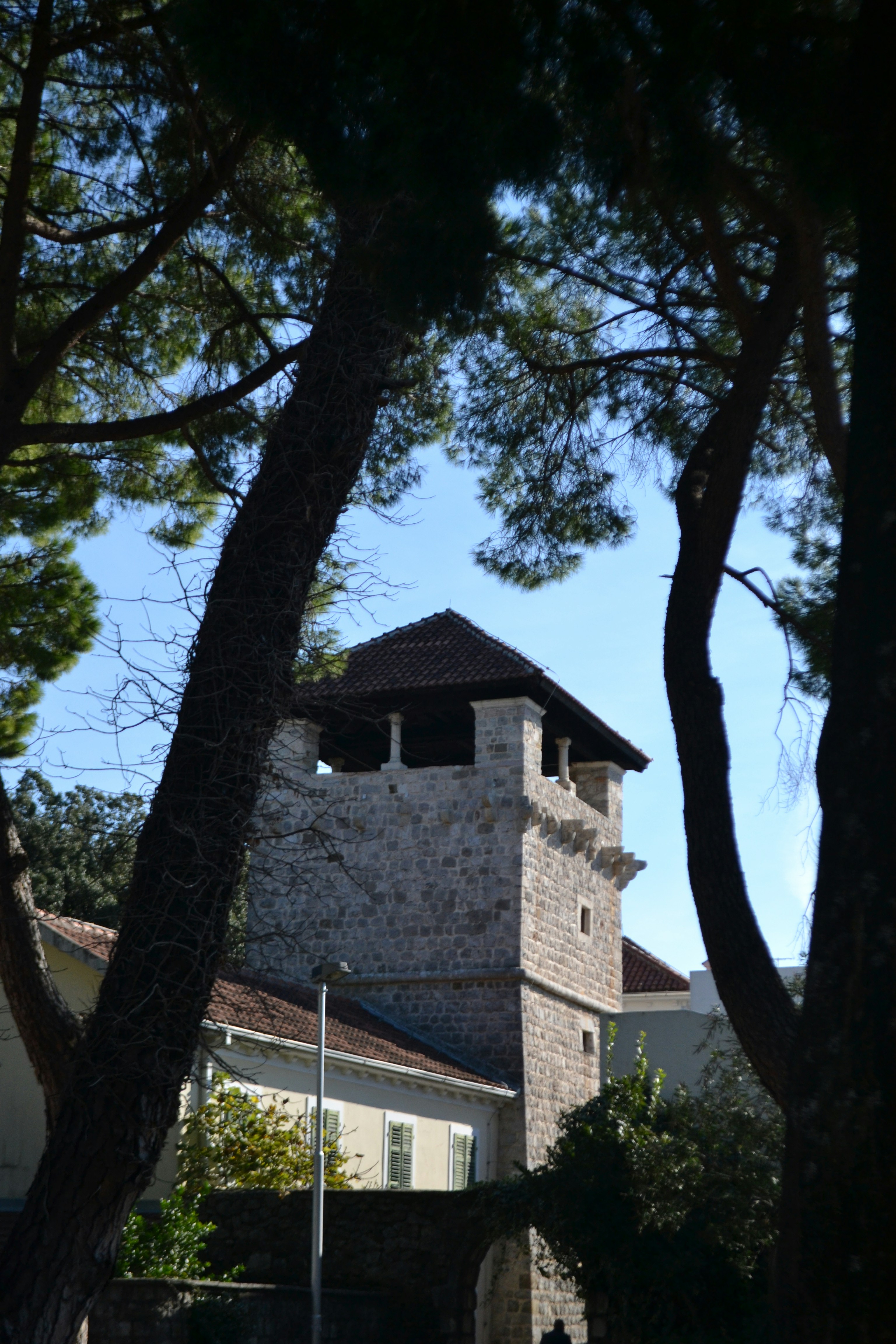 Photo by vlailaa
