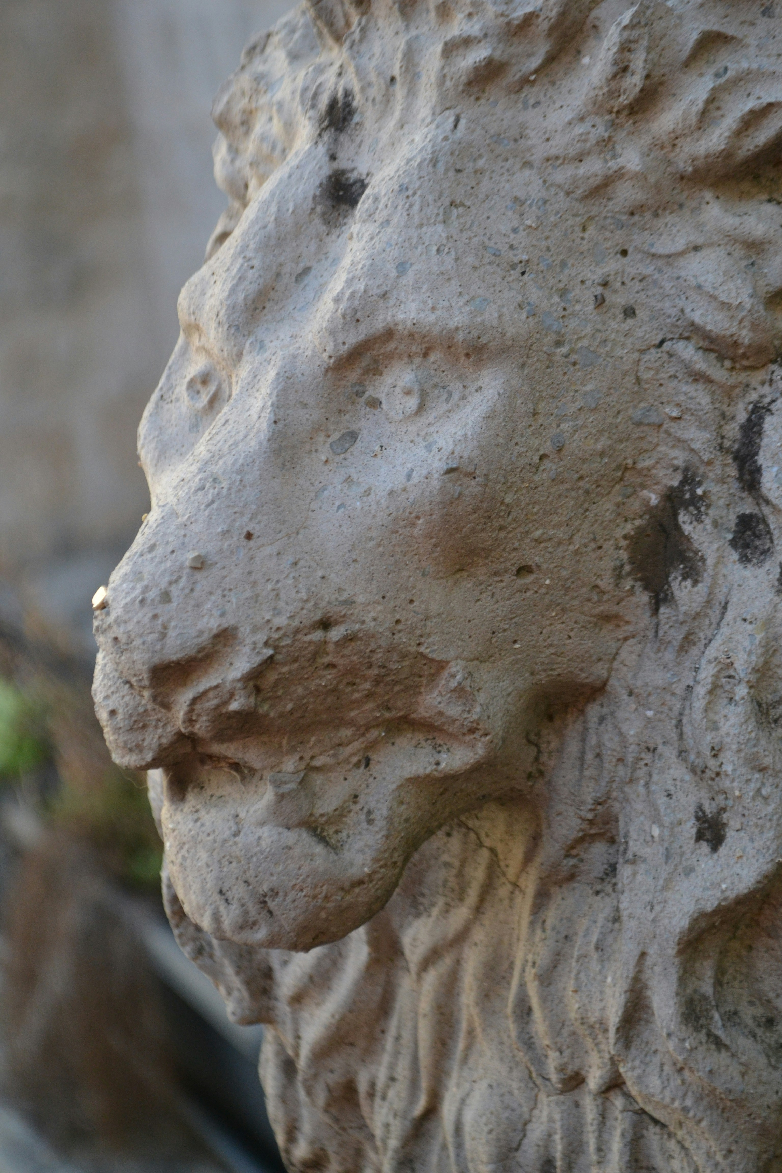 The Enduring Mystery (image credits: unsplash)