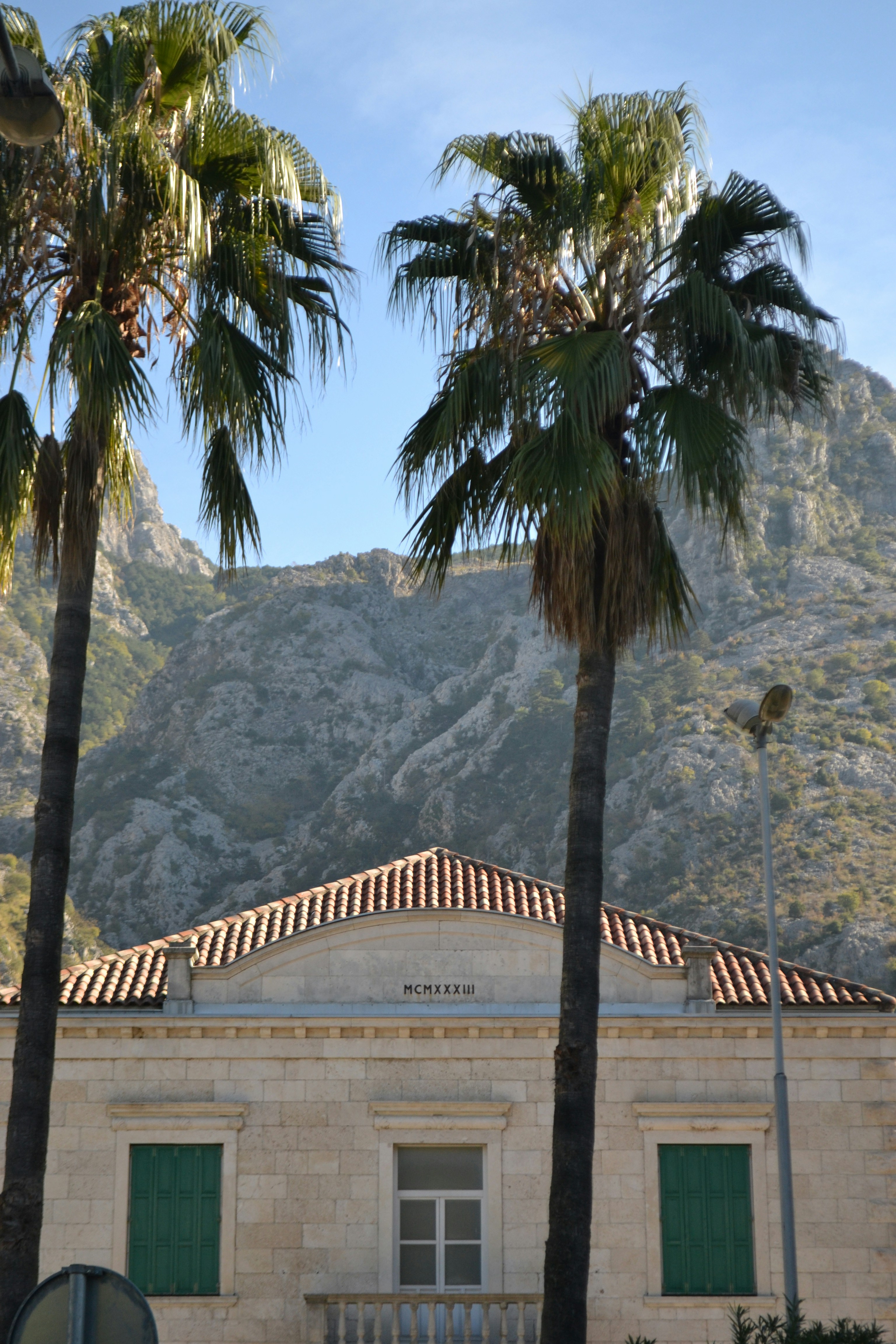 Palm trees in front of a building with mountains in the background