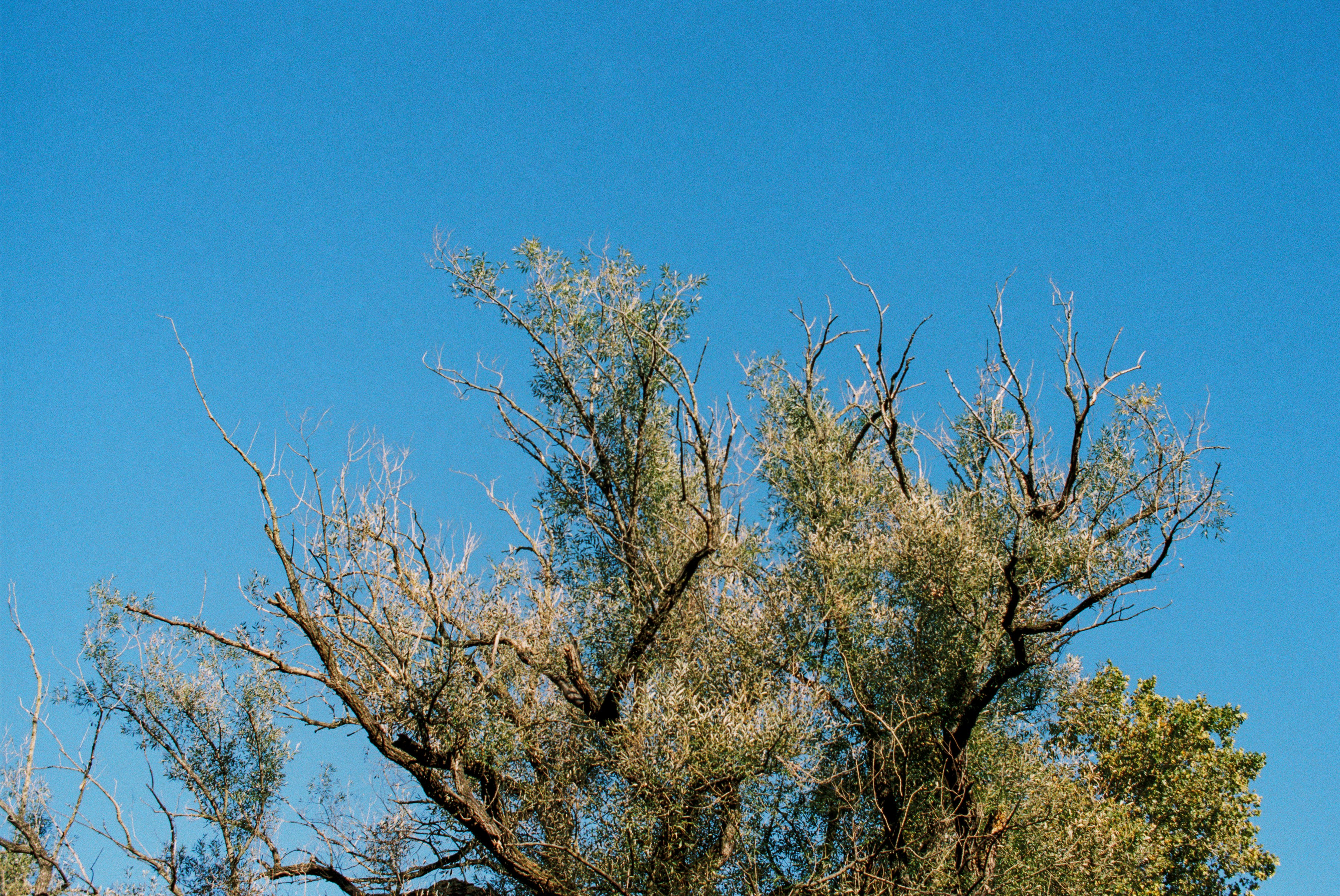 Photo by zhenyao_photo