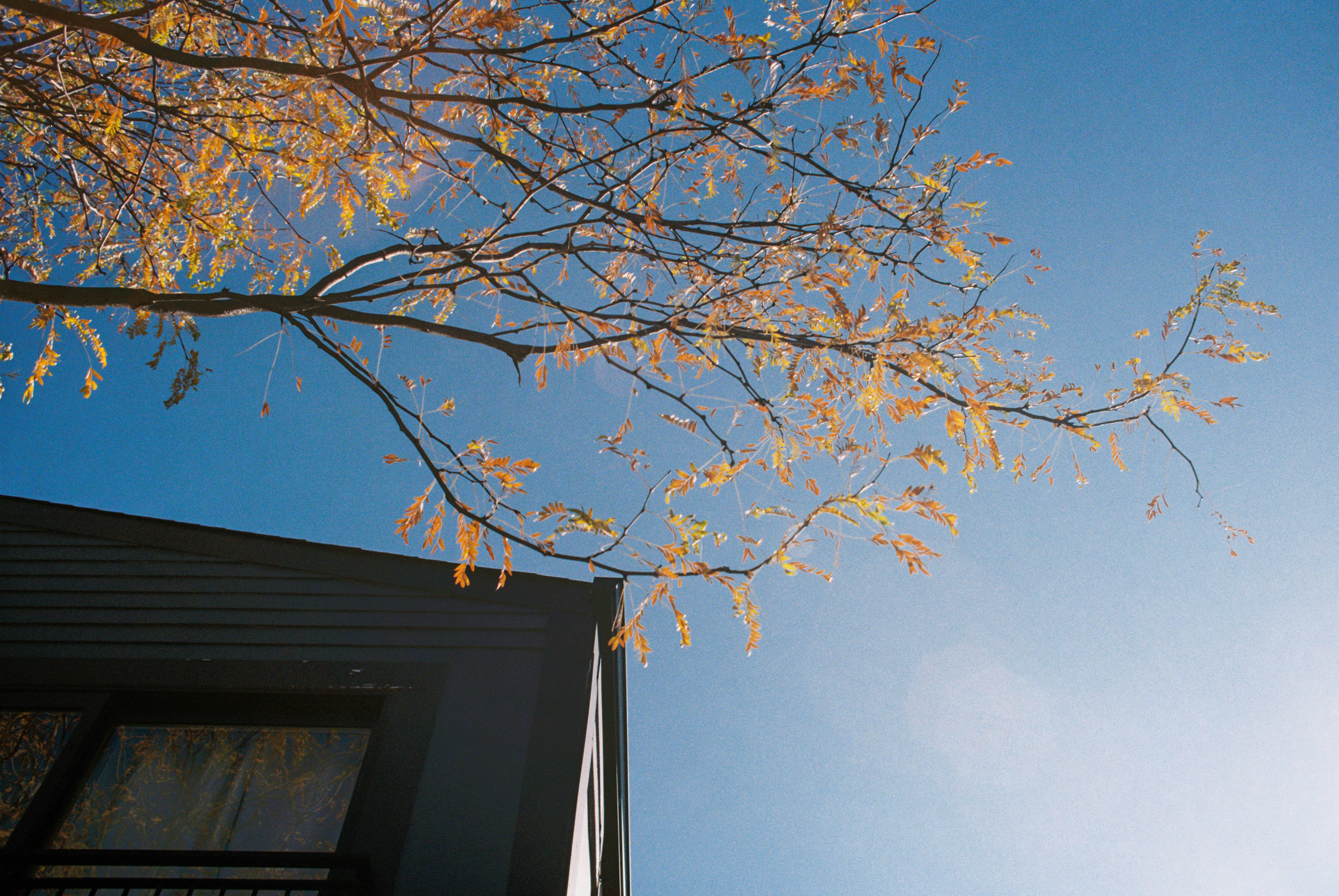 Photo by zhenyao_photo