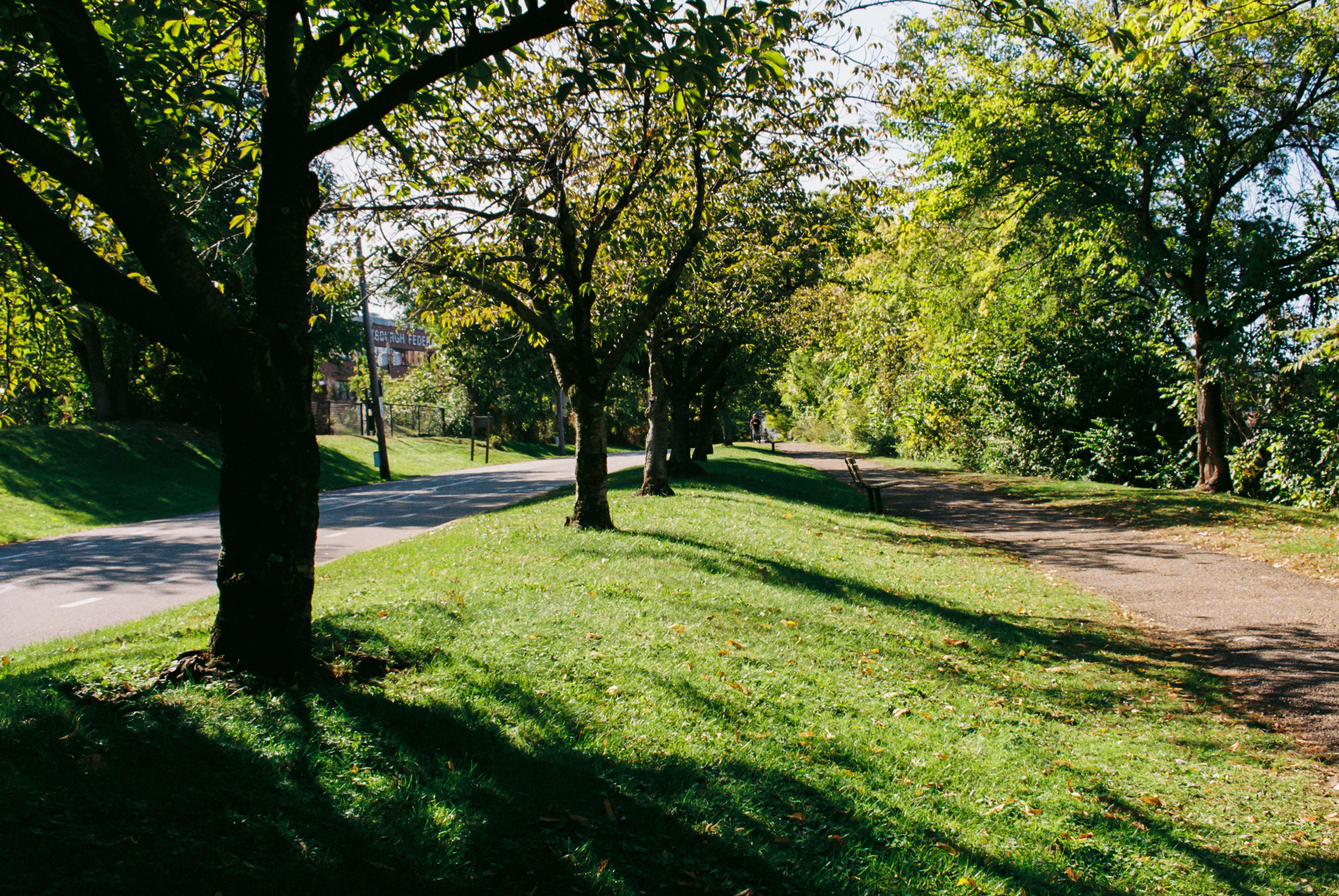 Photo by zhenyao_photo