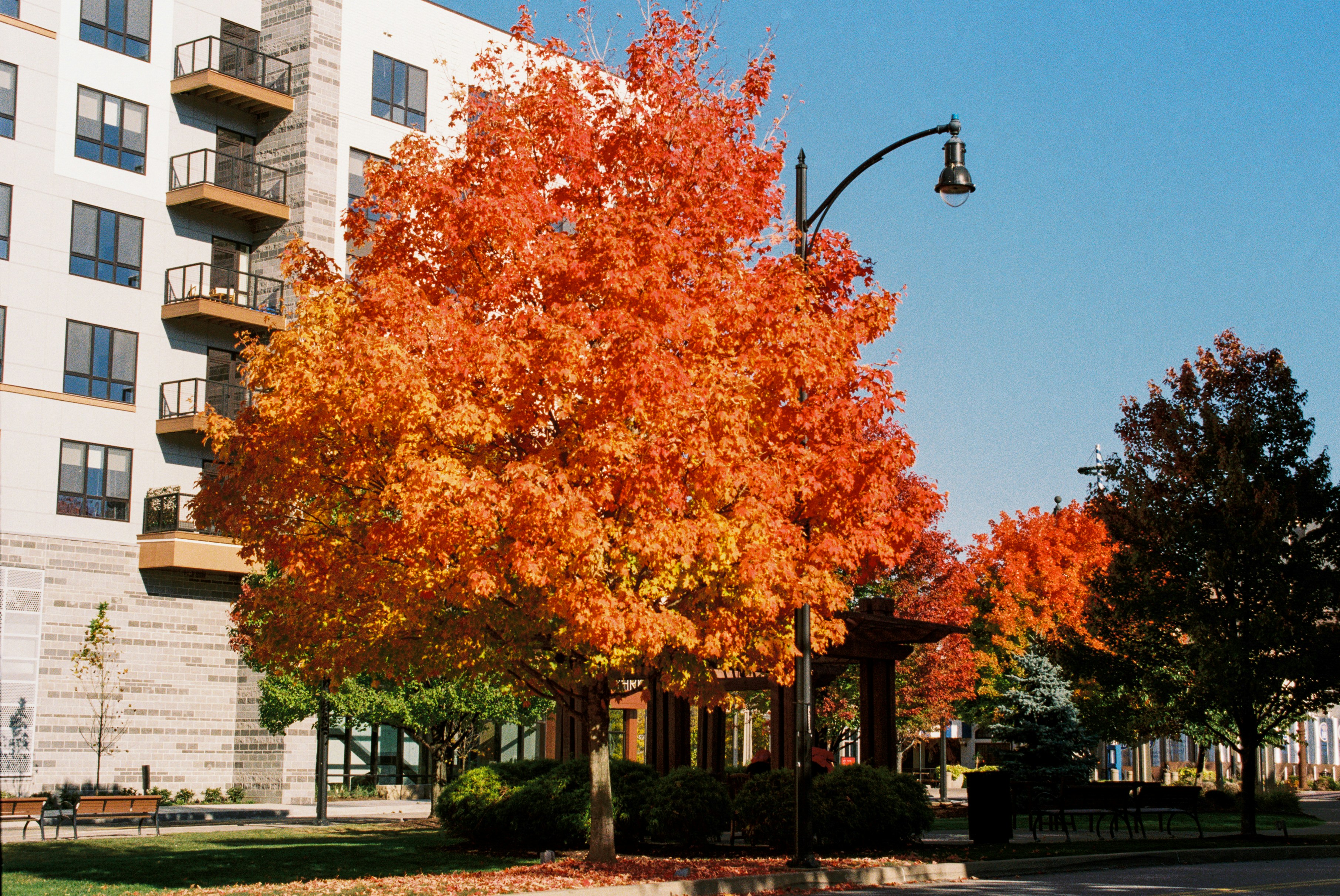 Bolz Conservancy