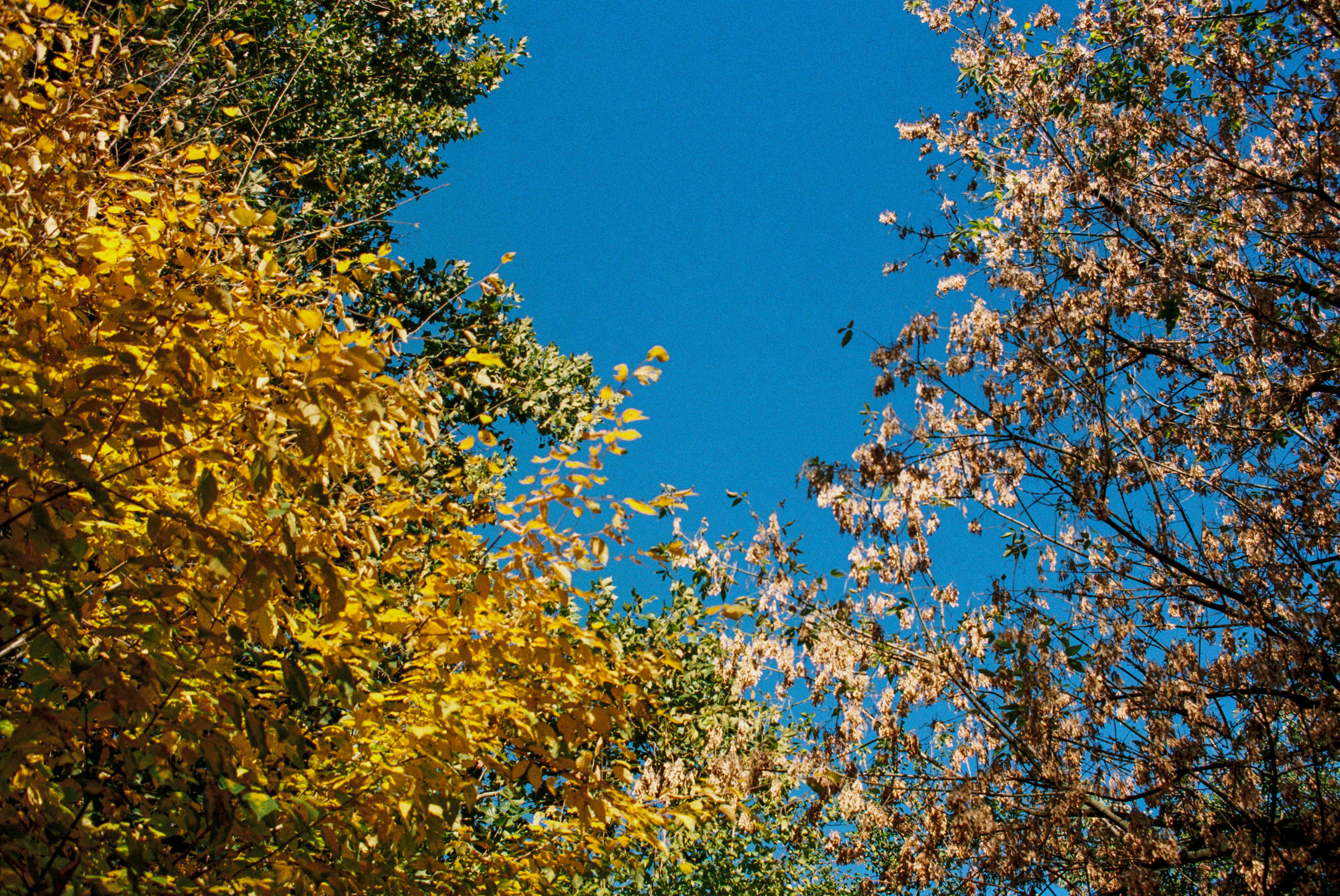 Photo by zhenyao_photo