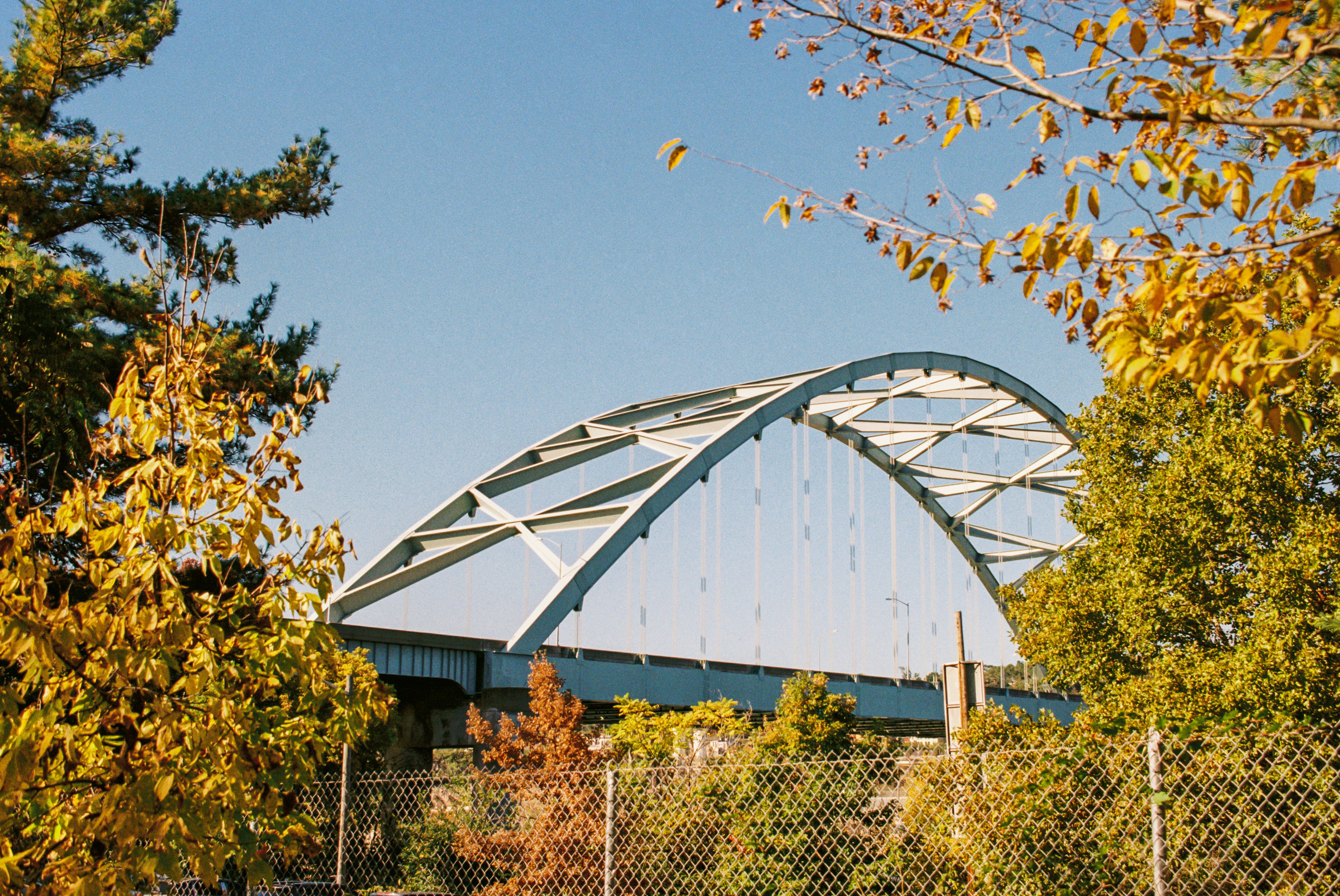 Photo by zhenyao_photo