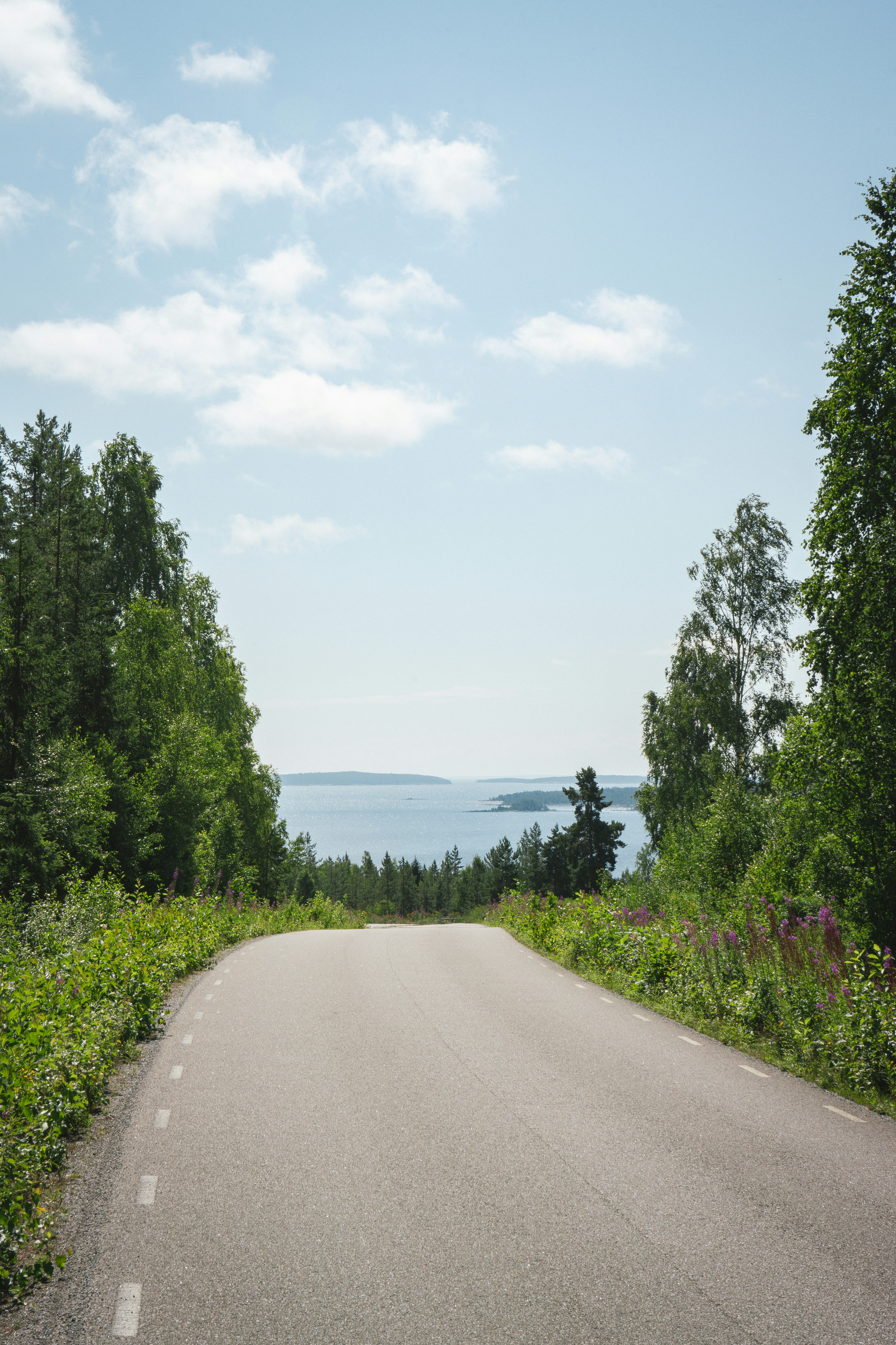 An empty road in the middle of the woods