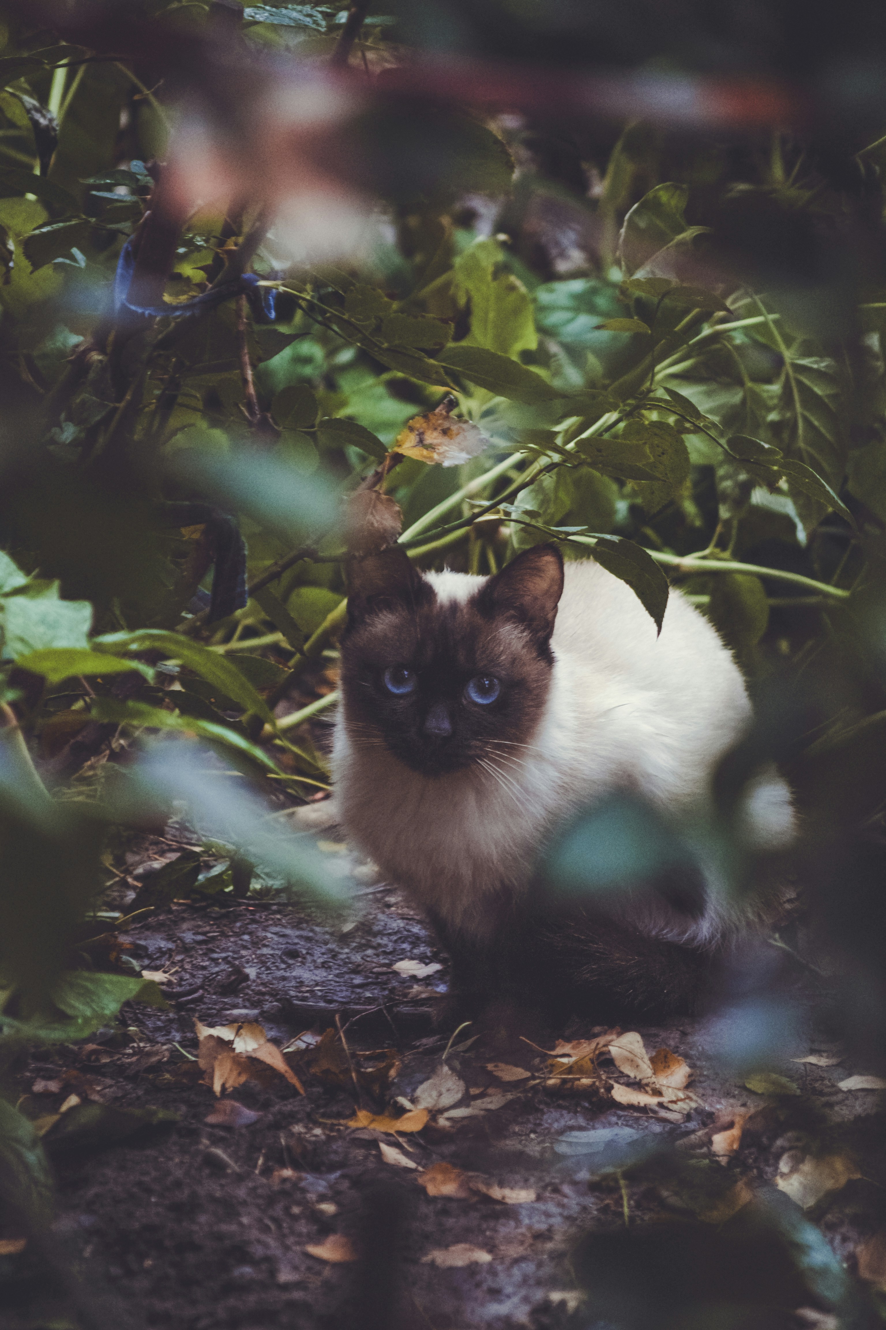 Confident Exploration of the Home (image credits: unsplash)