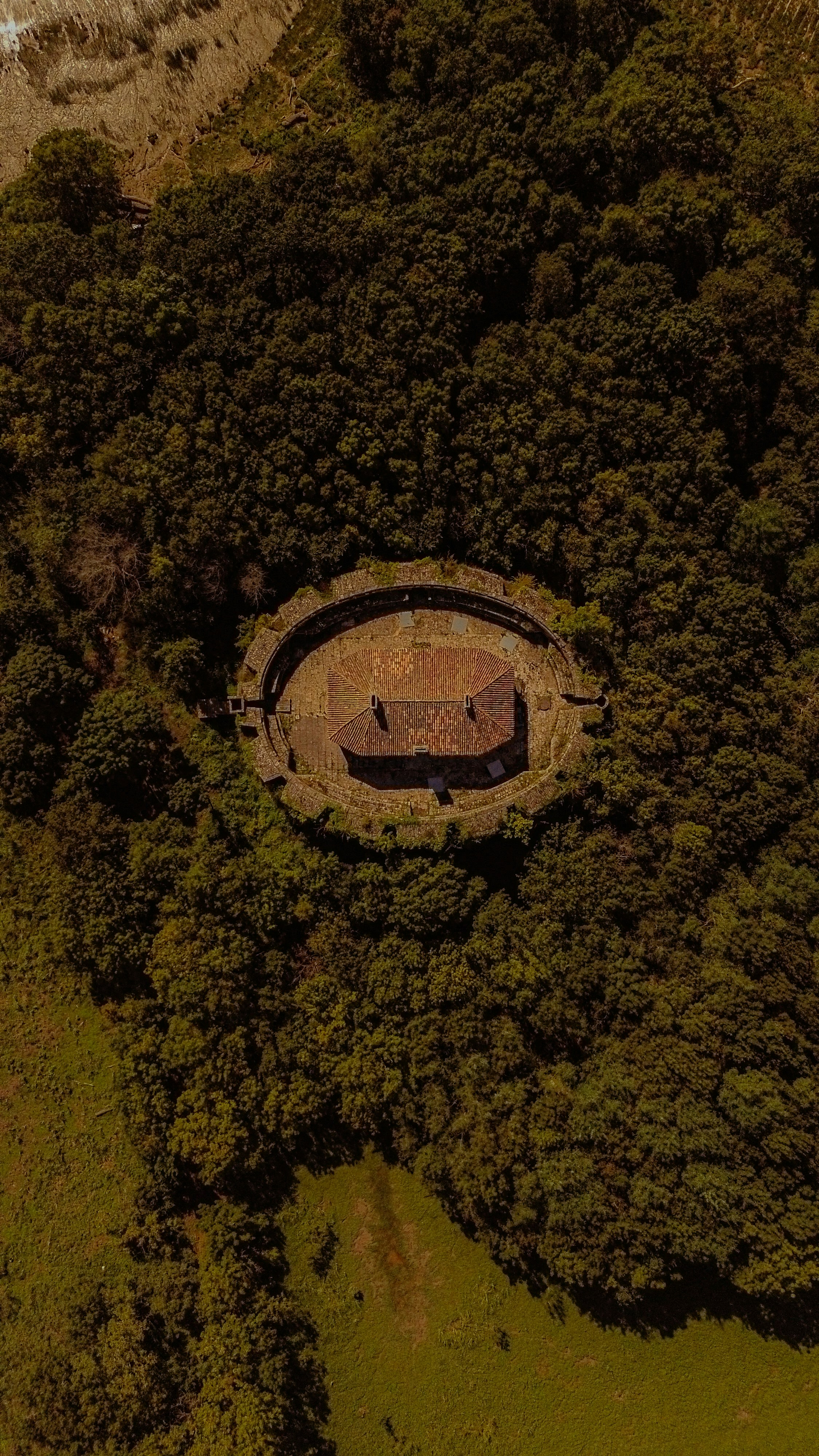 An aerial view of a building in the middle of a forest