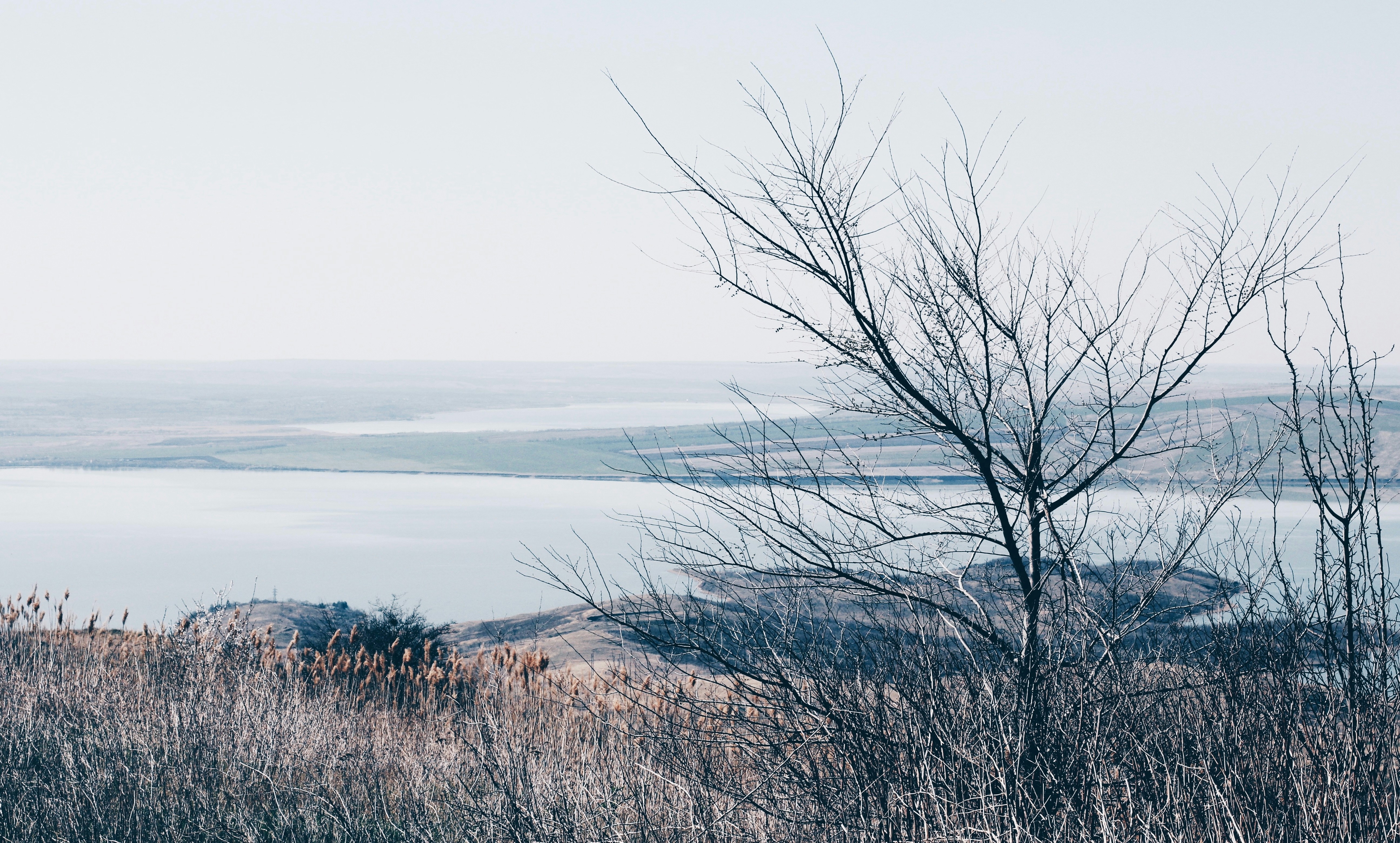 Photo by yasminpeyman