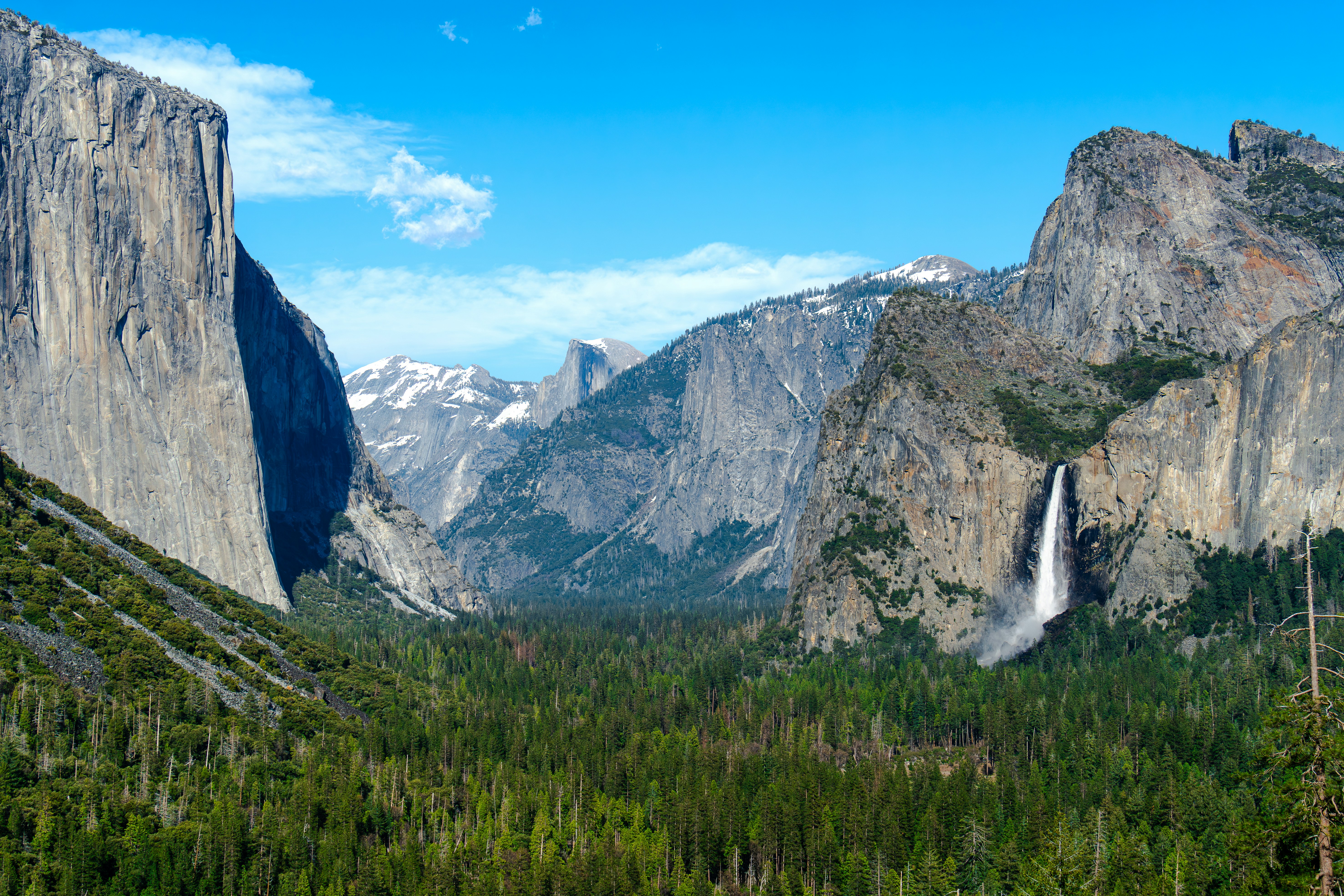 Photo by tomatopictures1