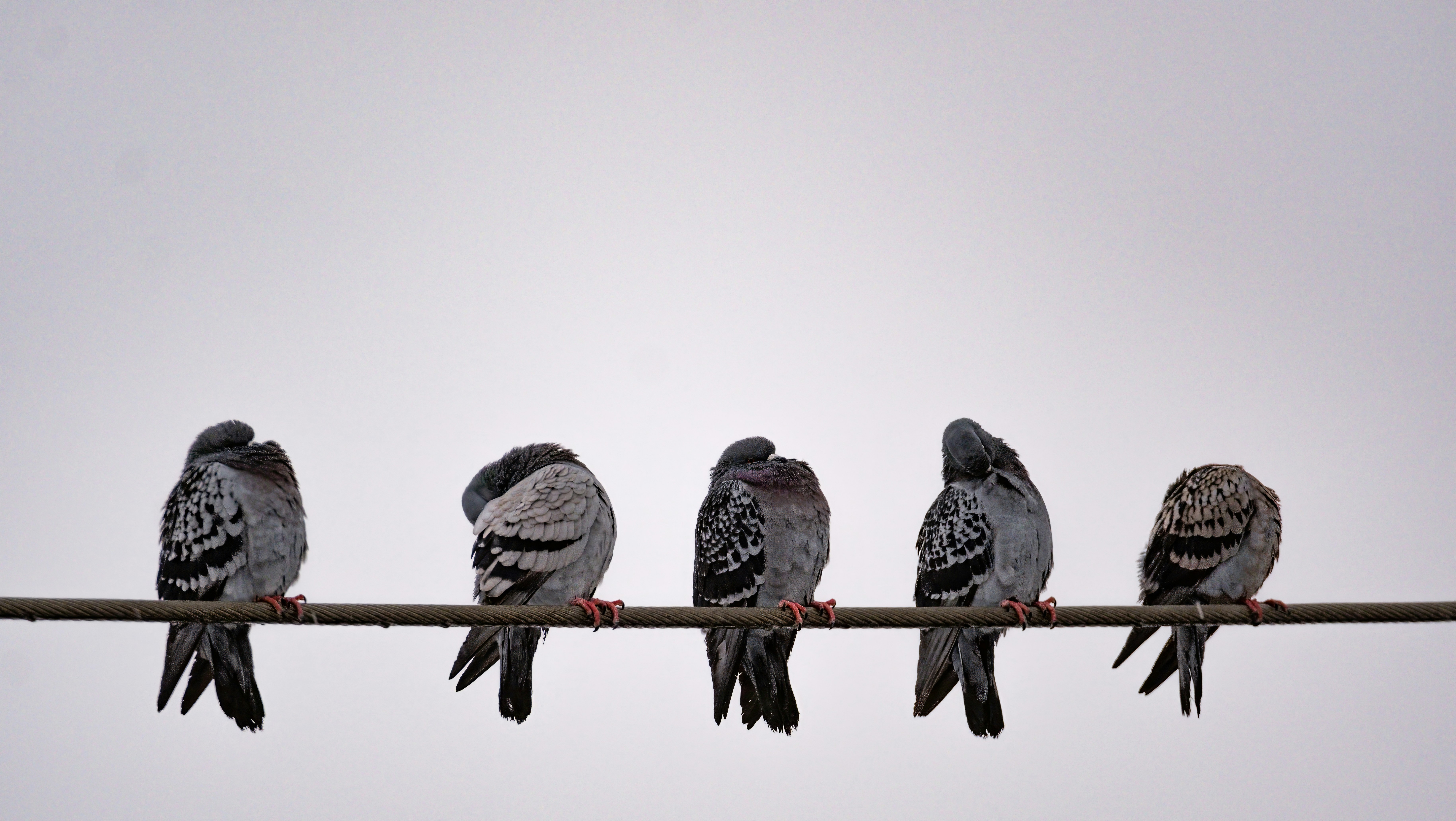 Photo by alexandredaoust