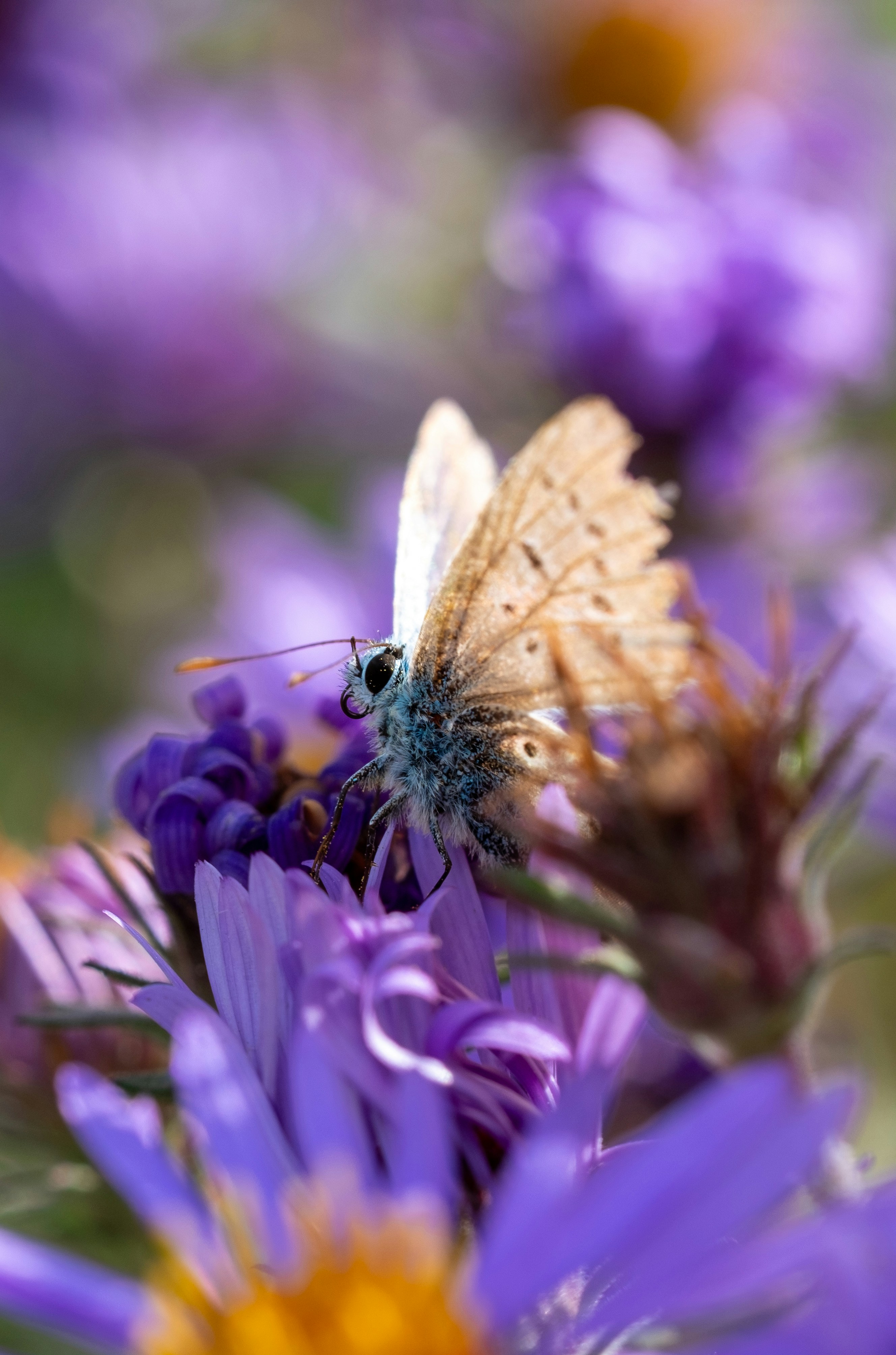 Photo by alexandredaoust