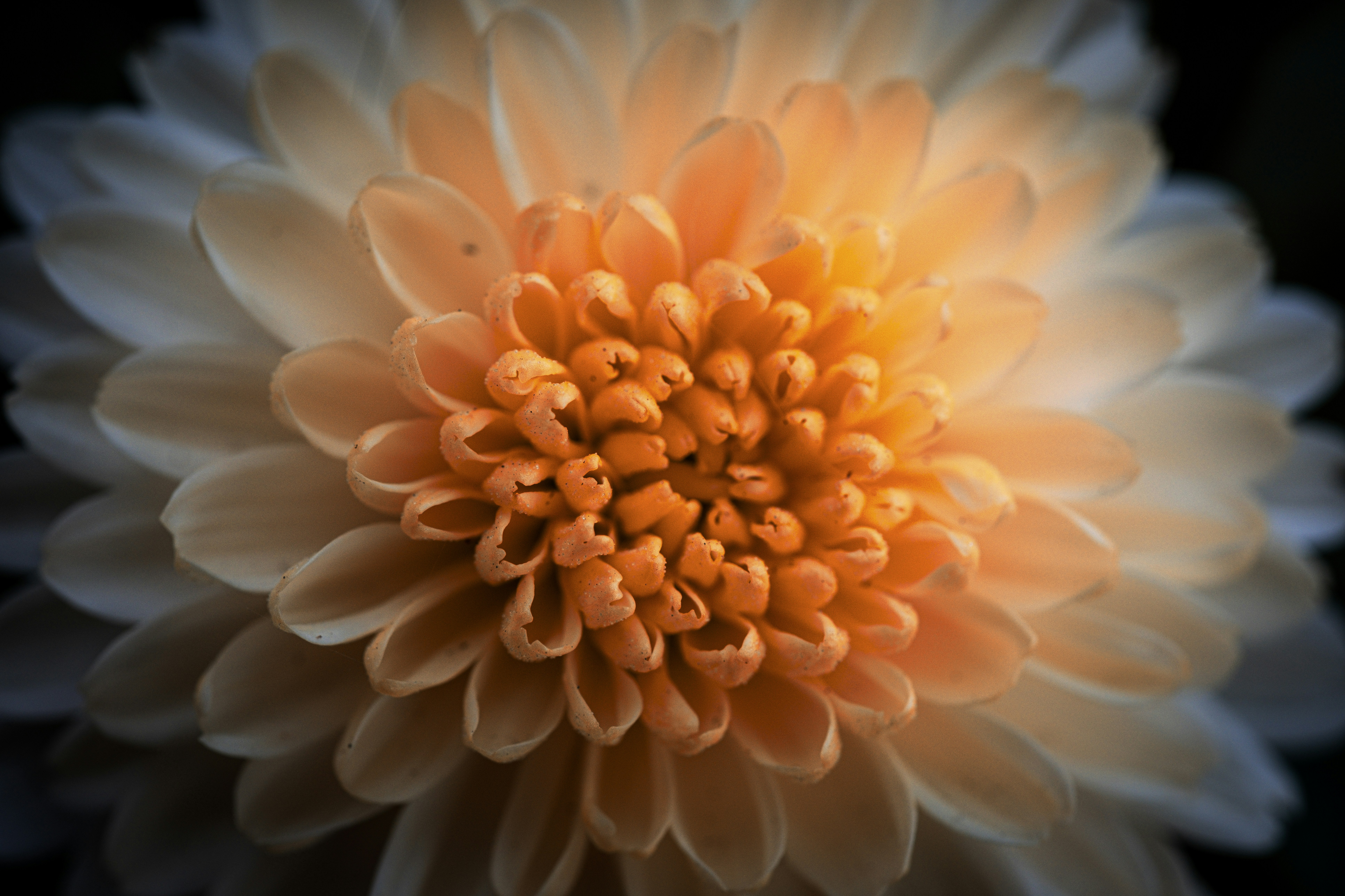 Photo by alexandredaoust