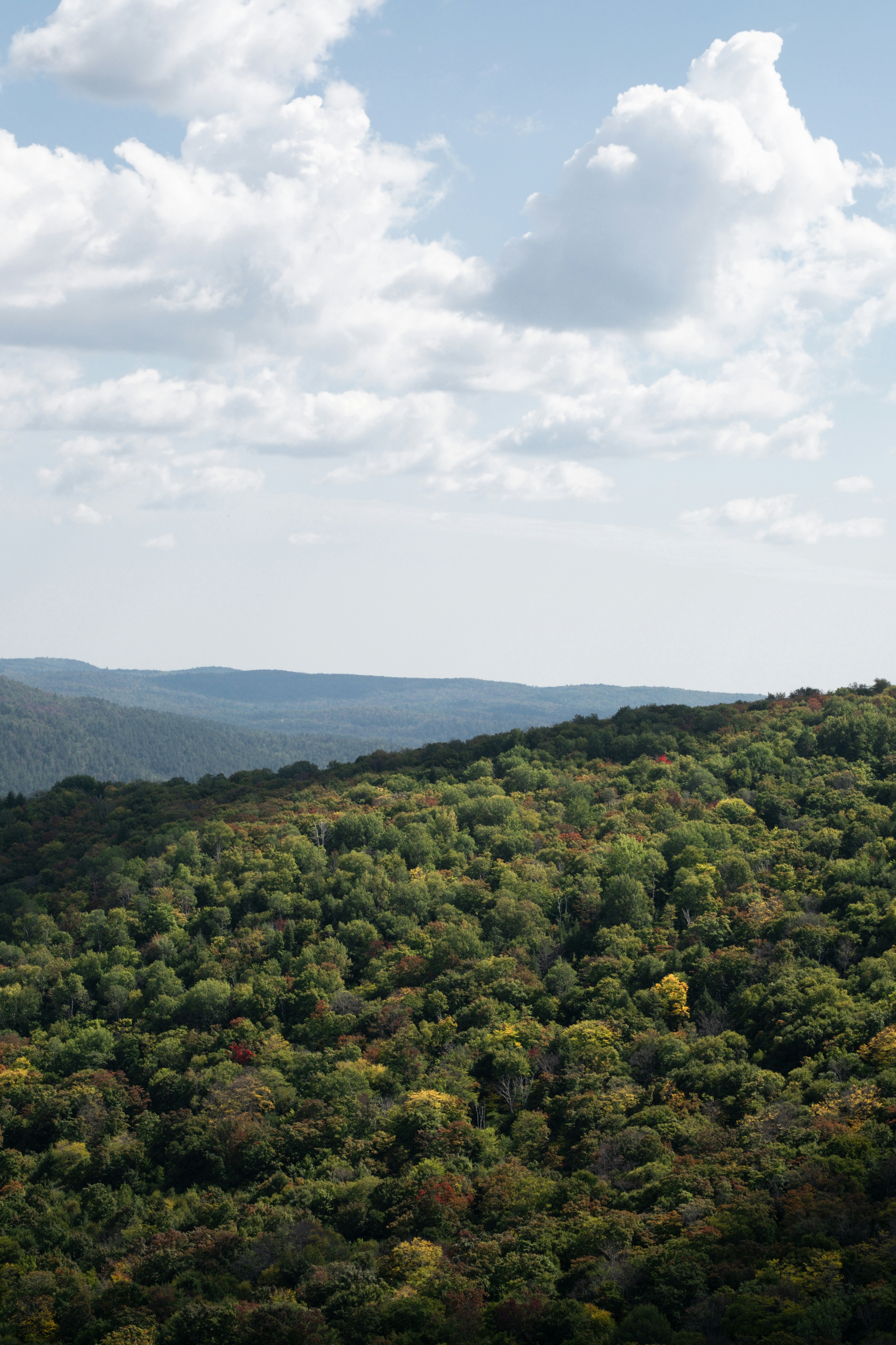 Photo by alexandredaoust