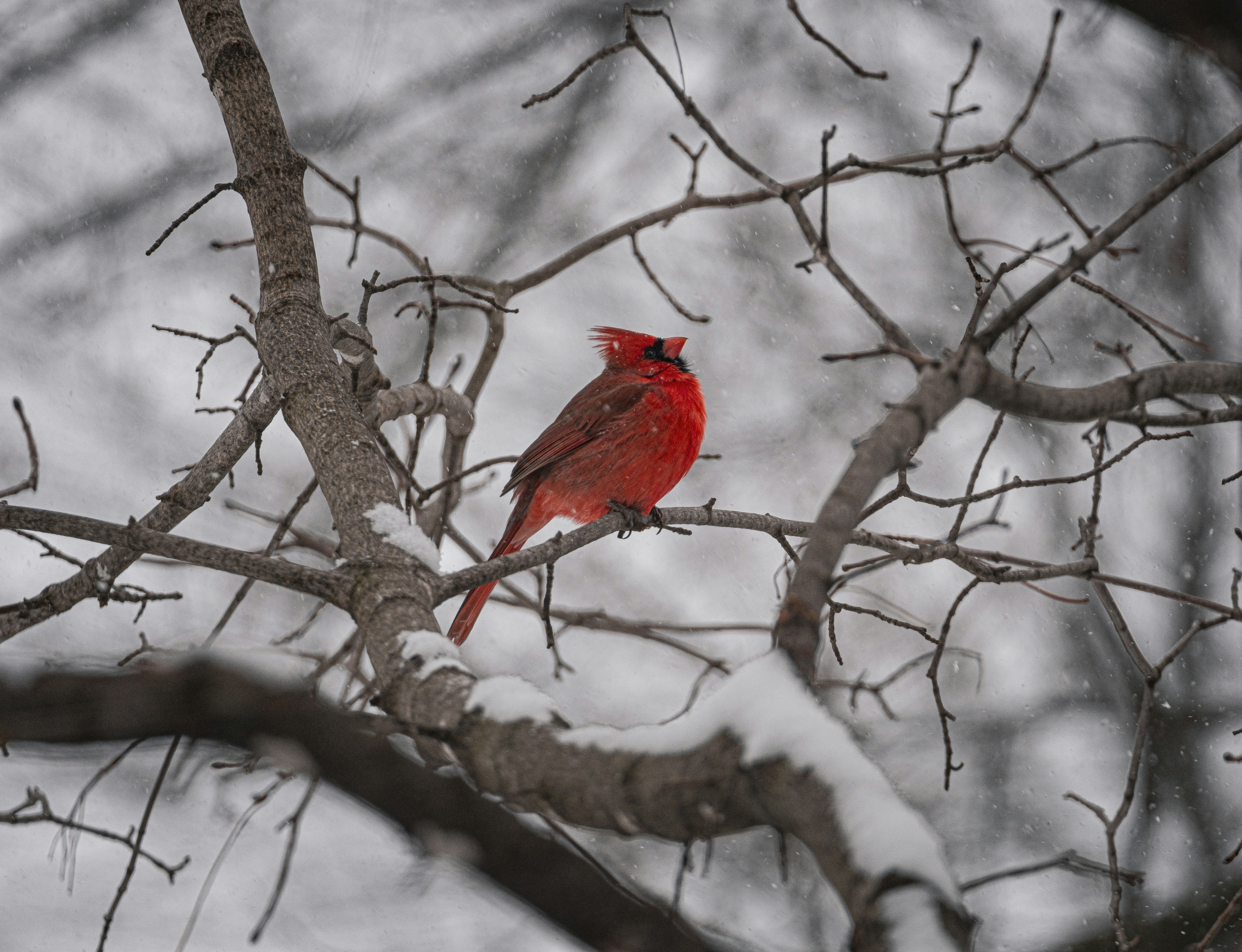 Photo by alexandredaoust