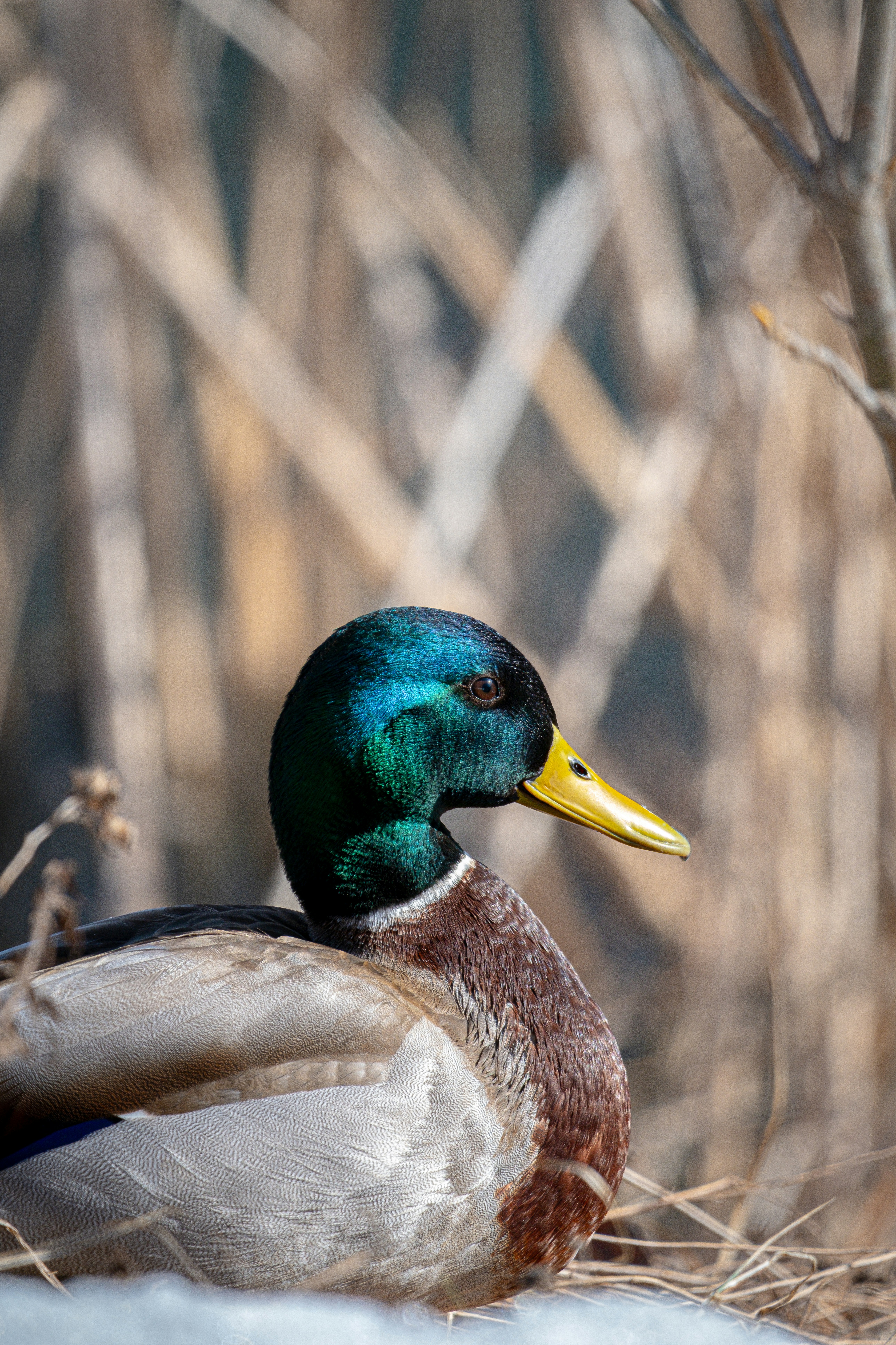 Photo by alexandredaoust