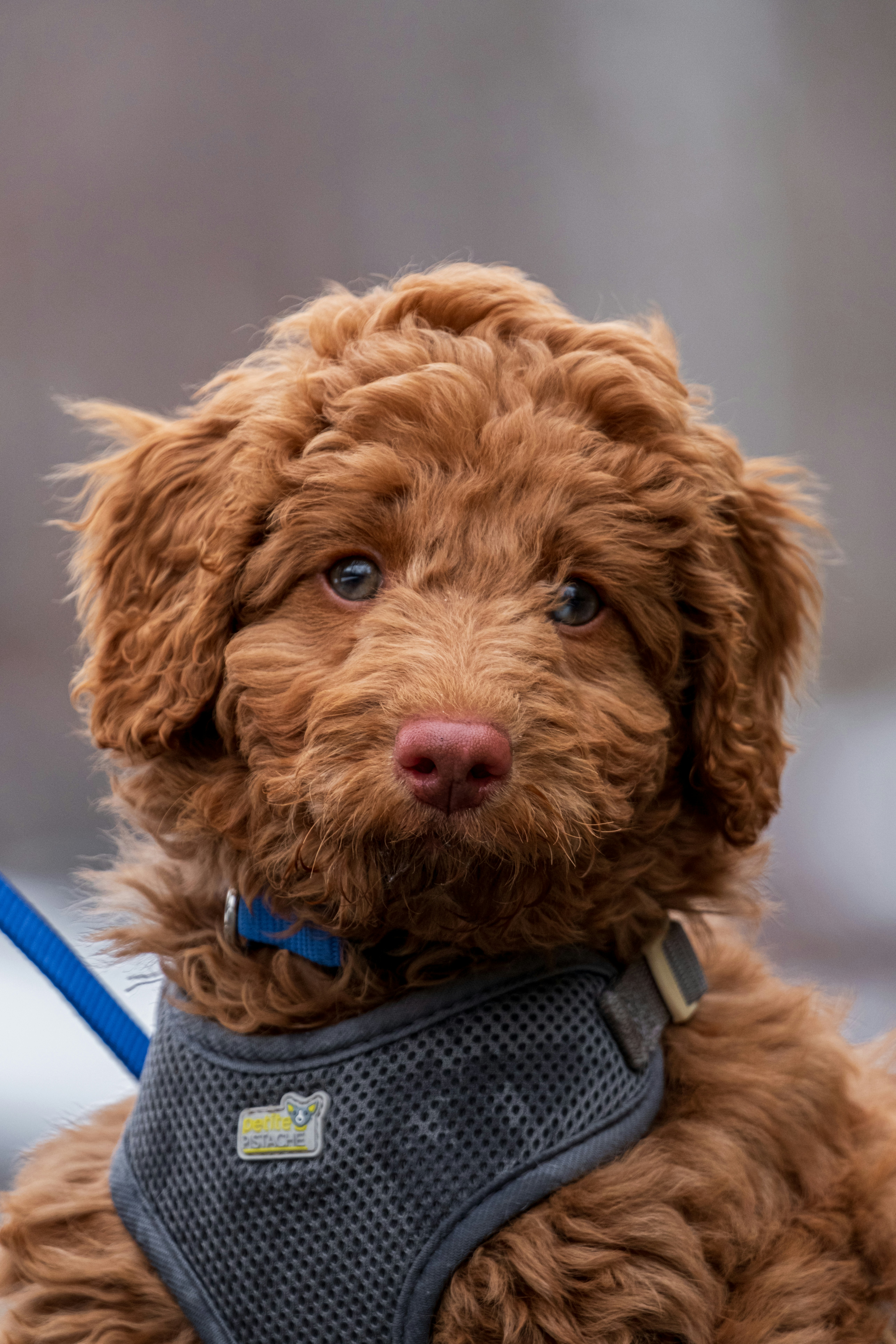 Photo by alexandredaoust