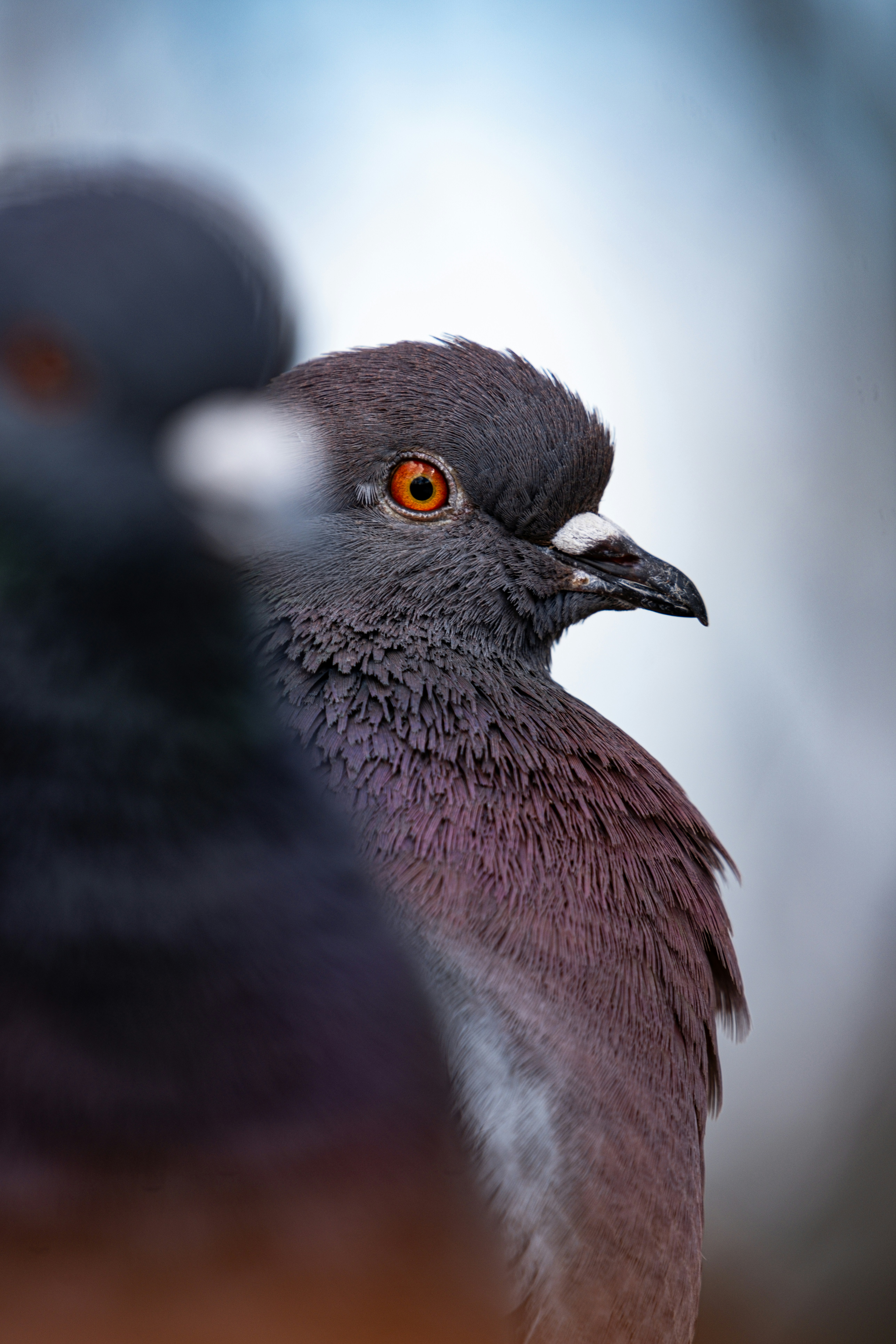 Photo by alexandredaoust