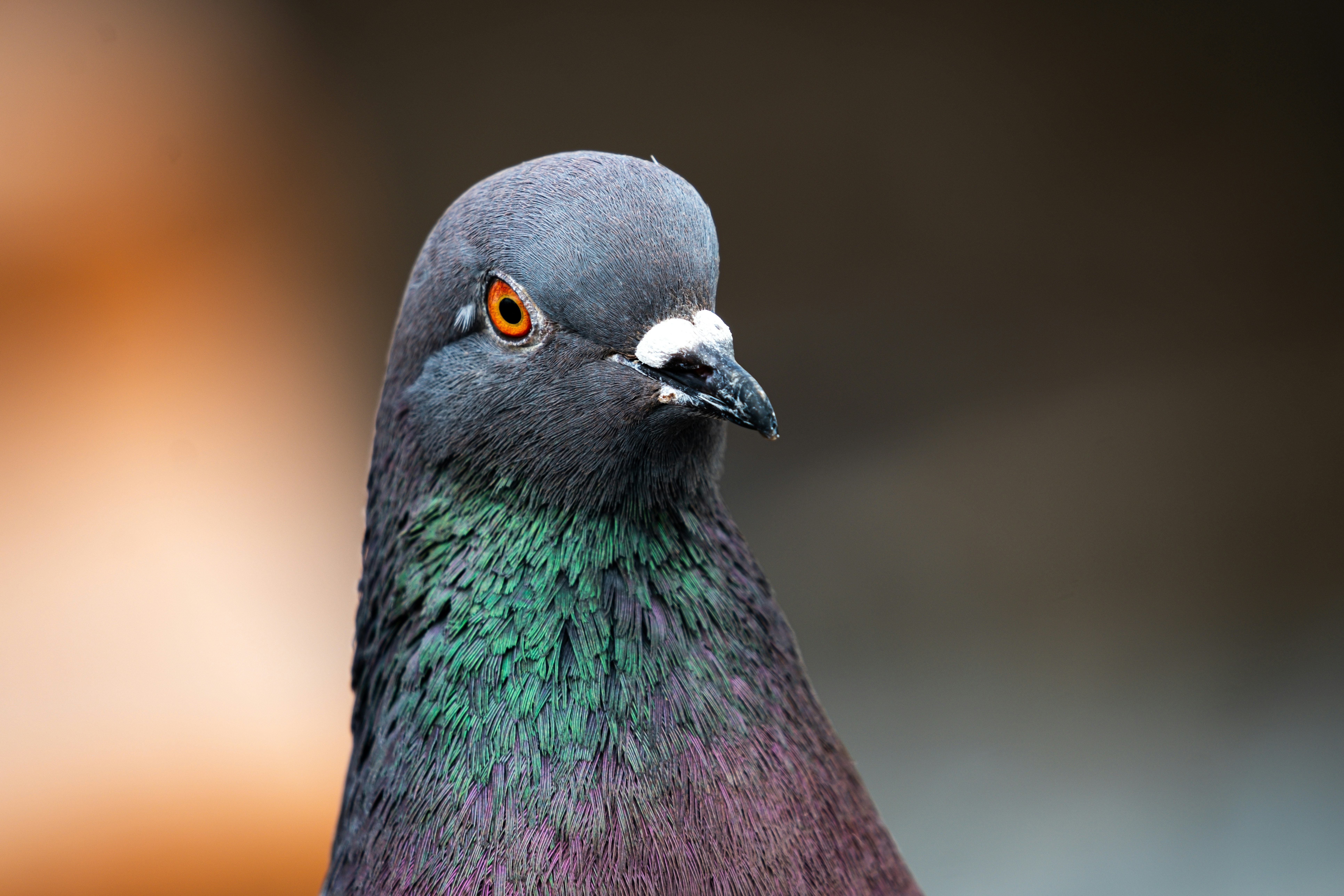 Photo by alexandredaoust