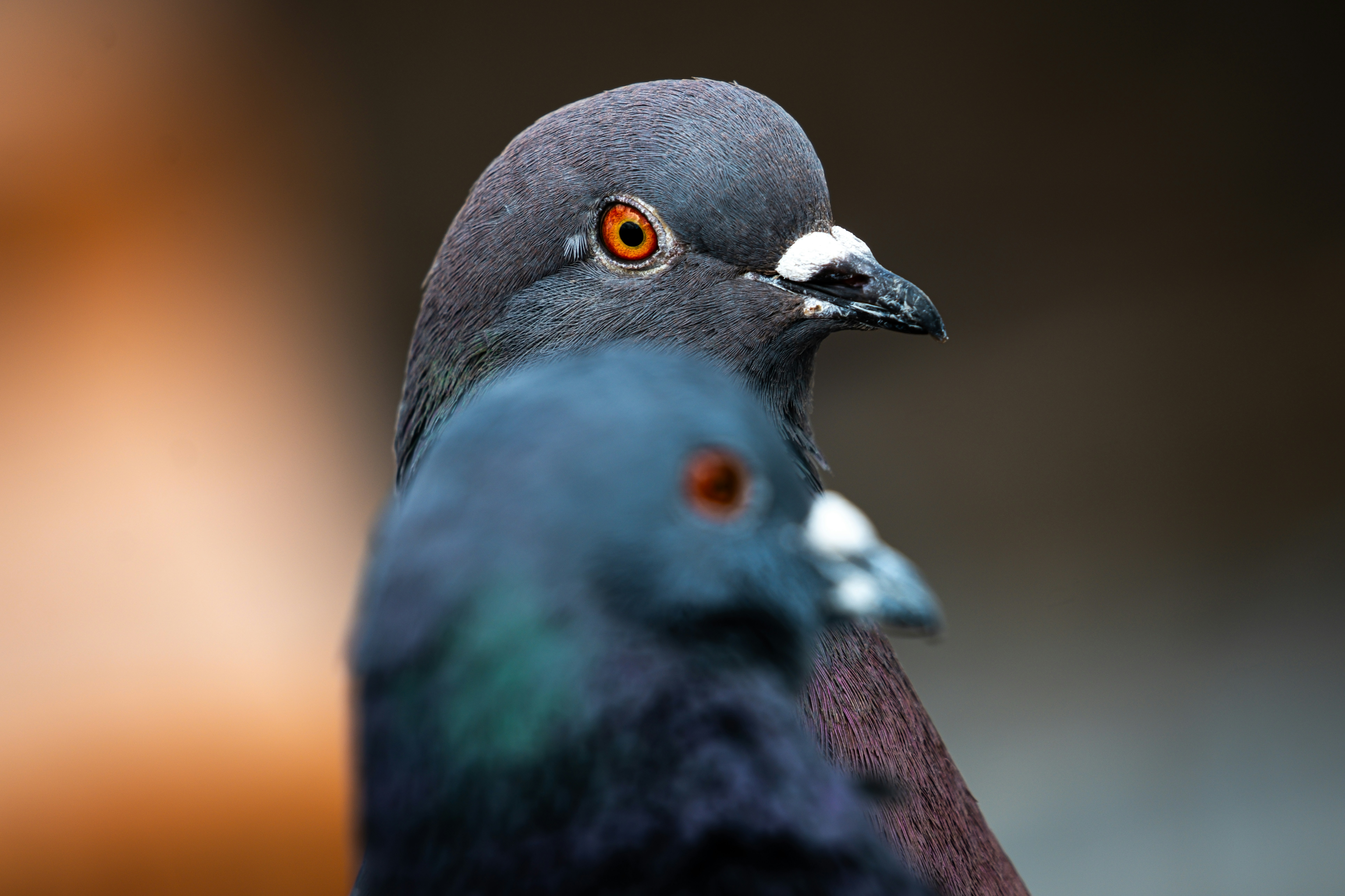 Photo by alexandredaoust