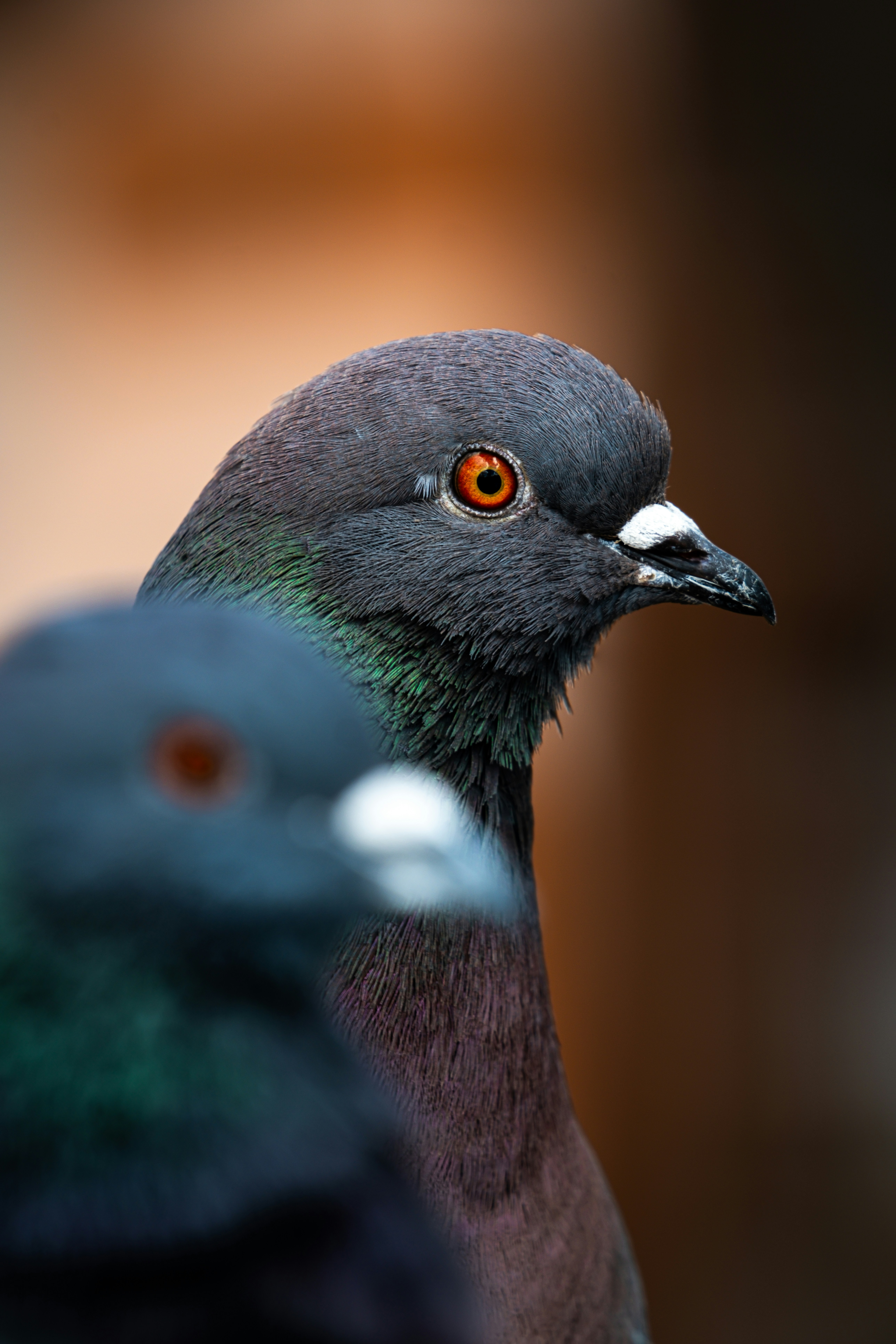 Photo by alexandredaoust