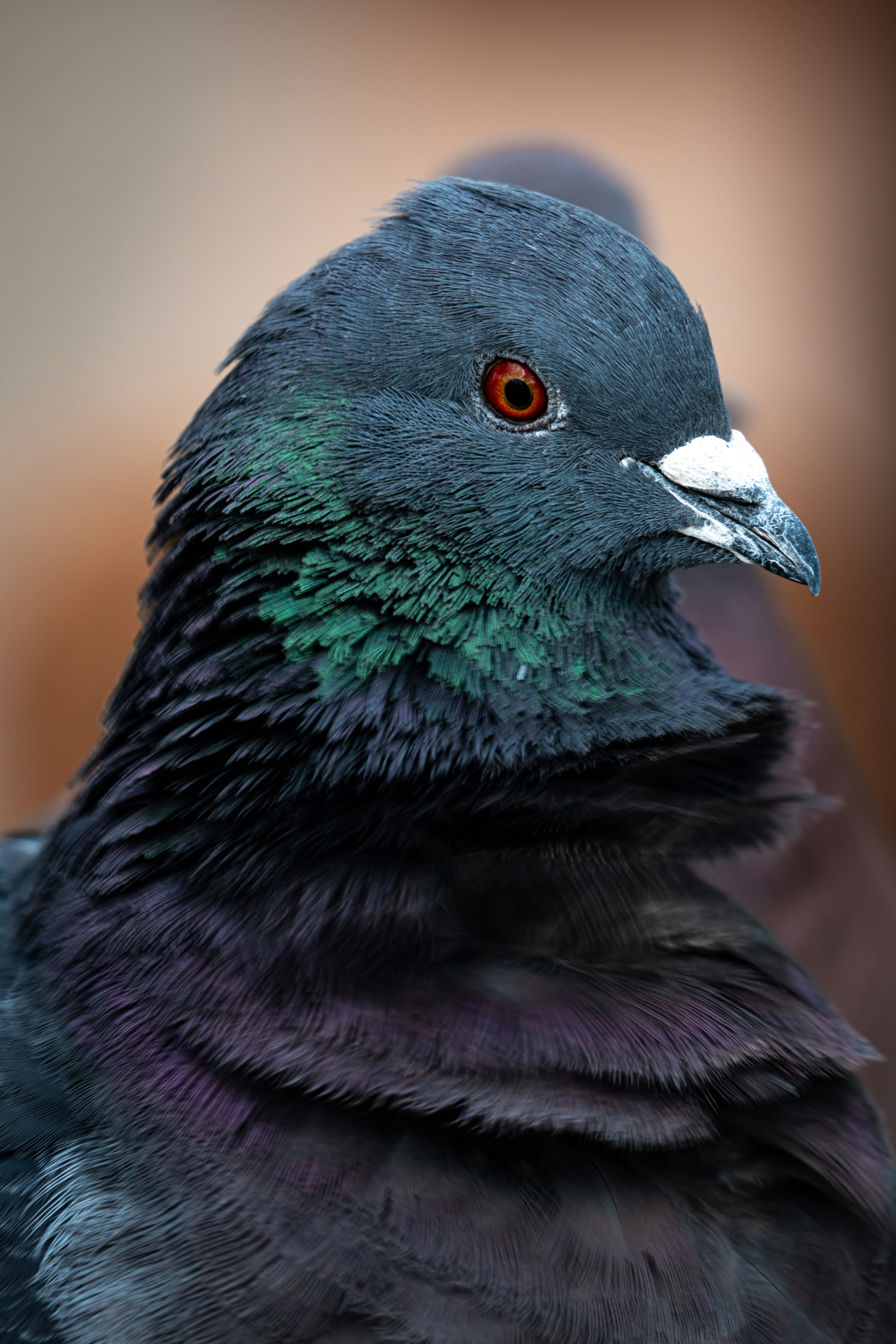 Photo by alexandredaoust