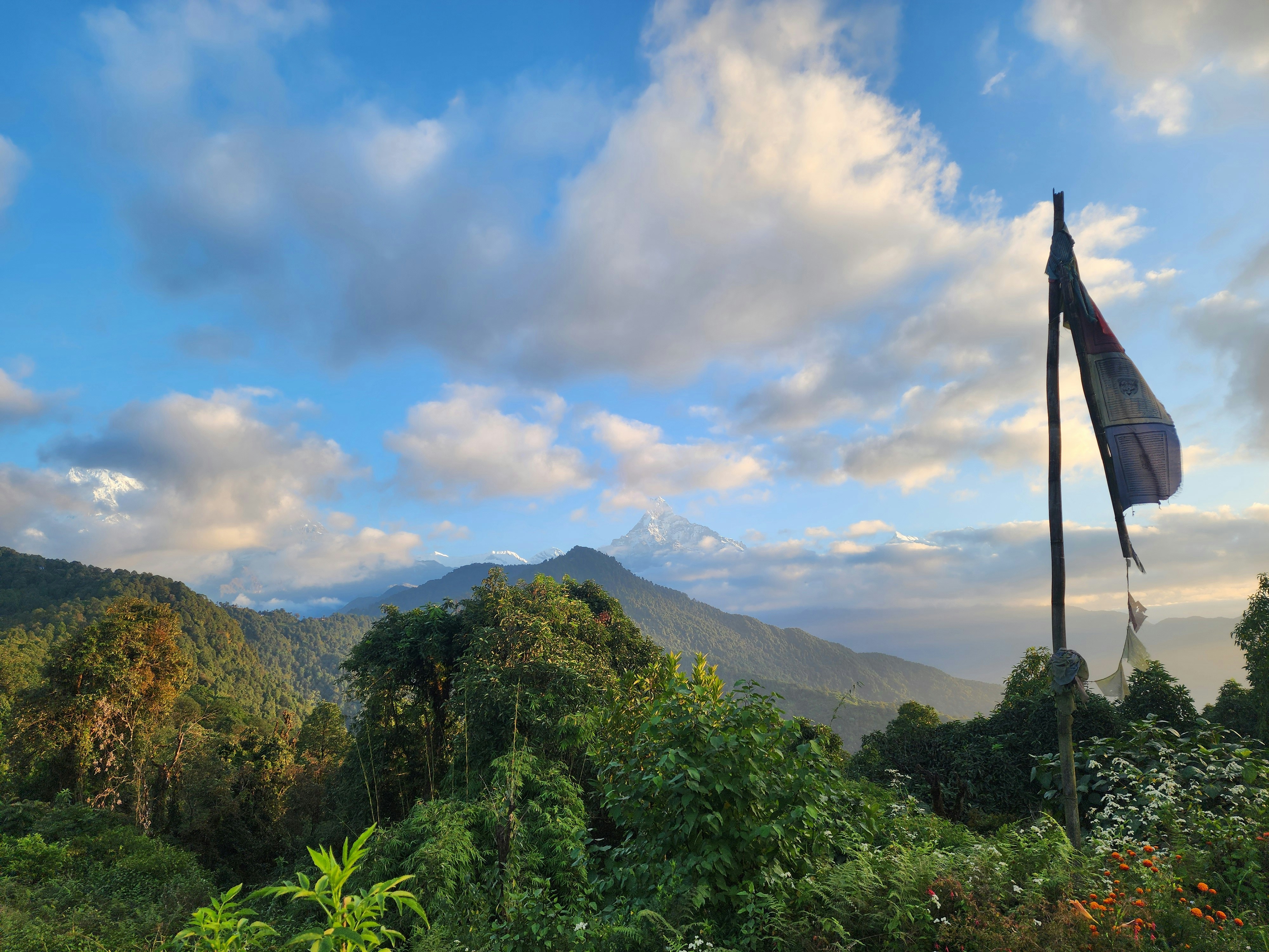 Prayer flags on Dochula Pass with Himalayan peaks in the background Bhutan