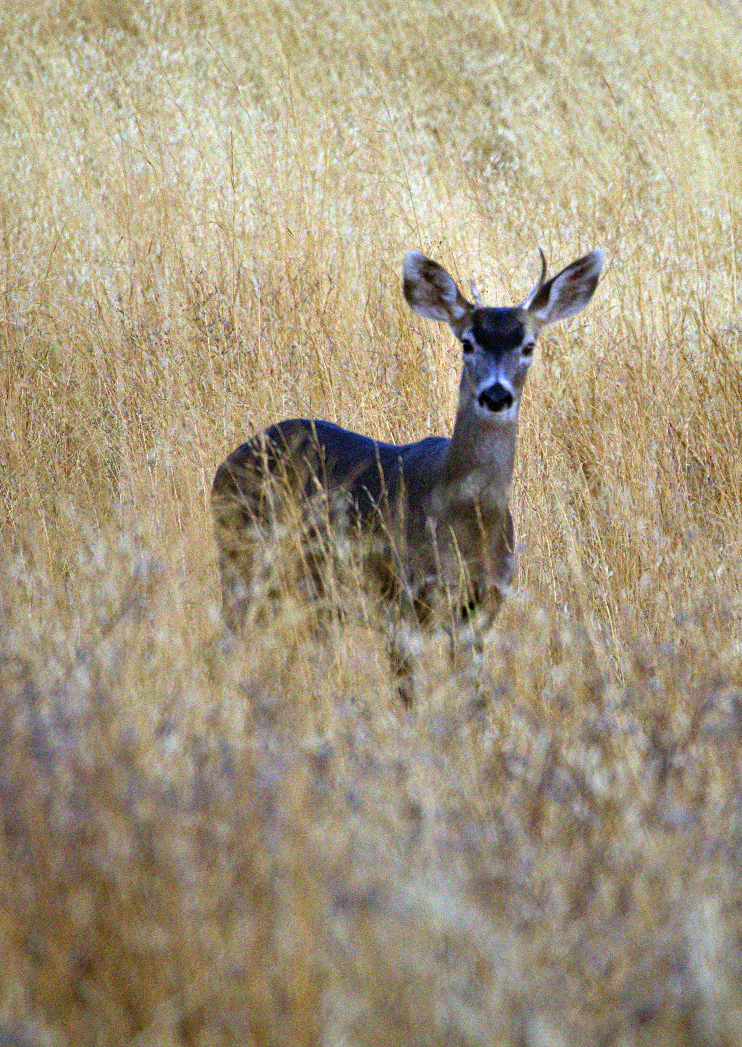 Photo by forsakenfilmslimited