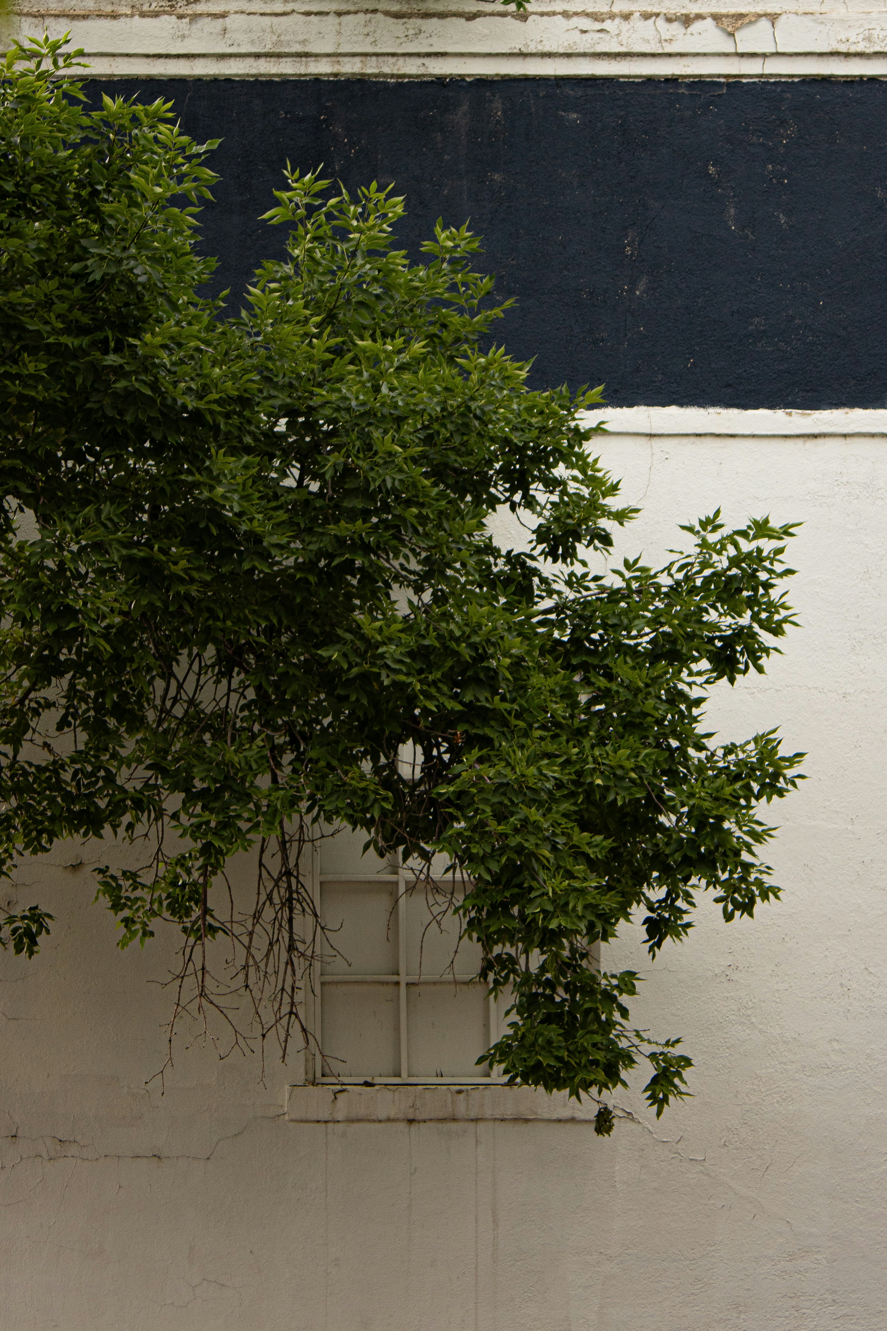 Photo by baylielindell18