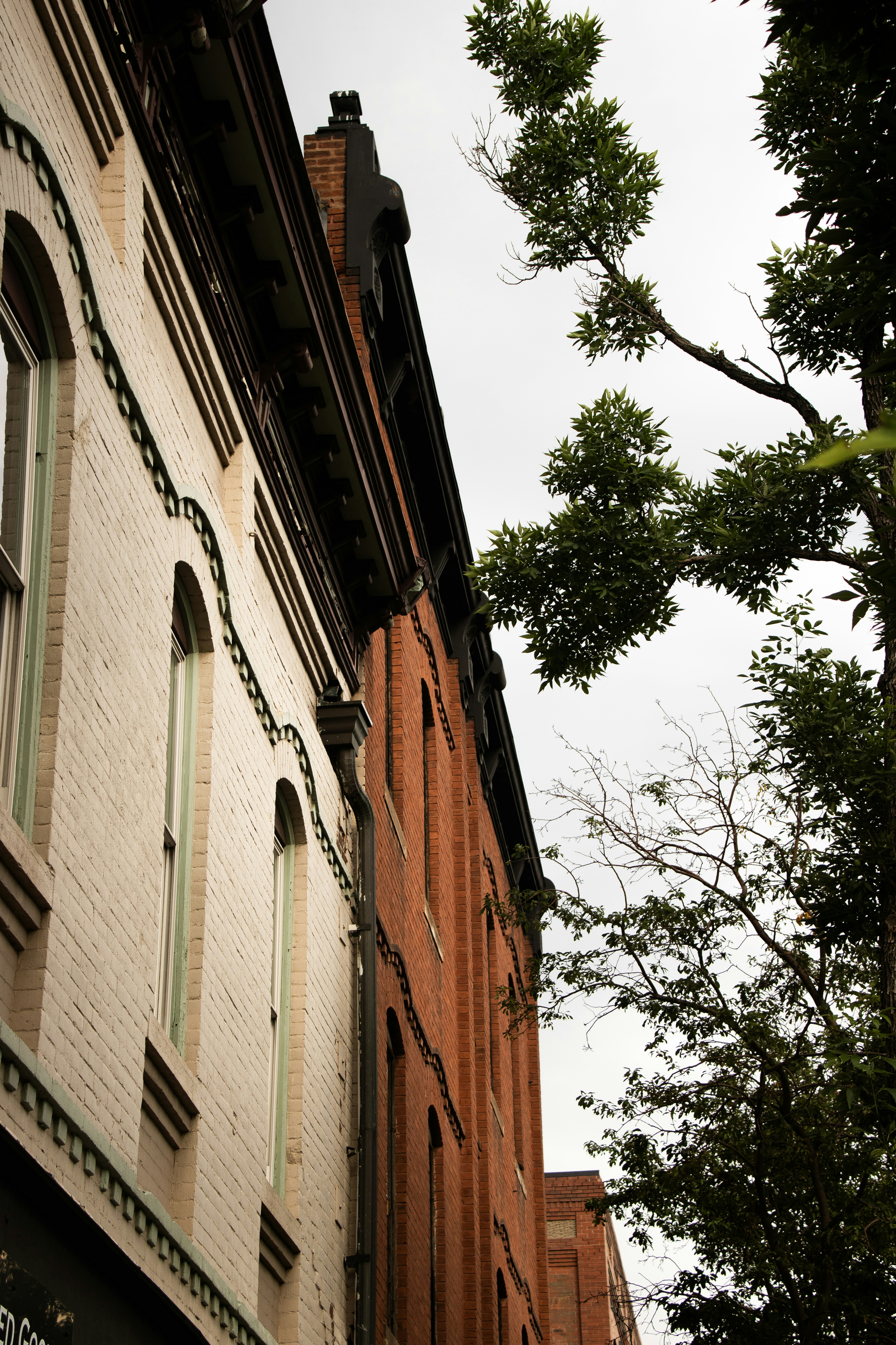 Photo by baylielindell18